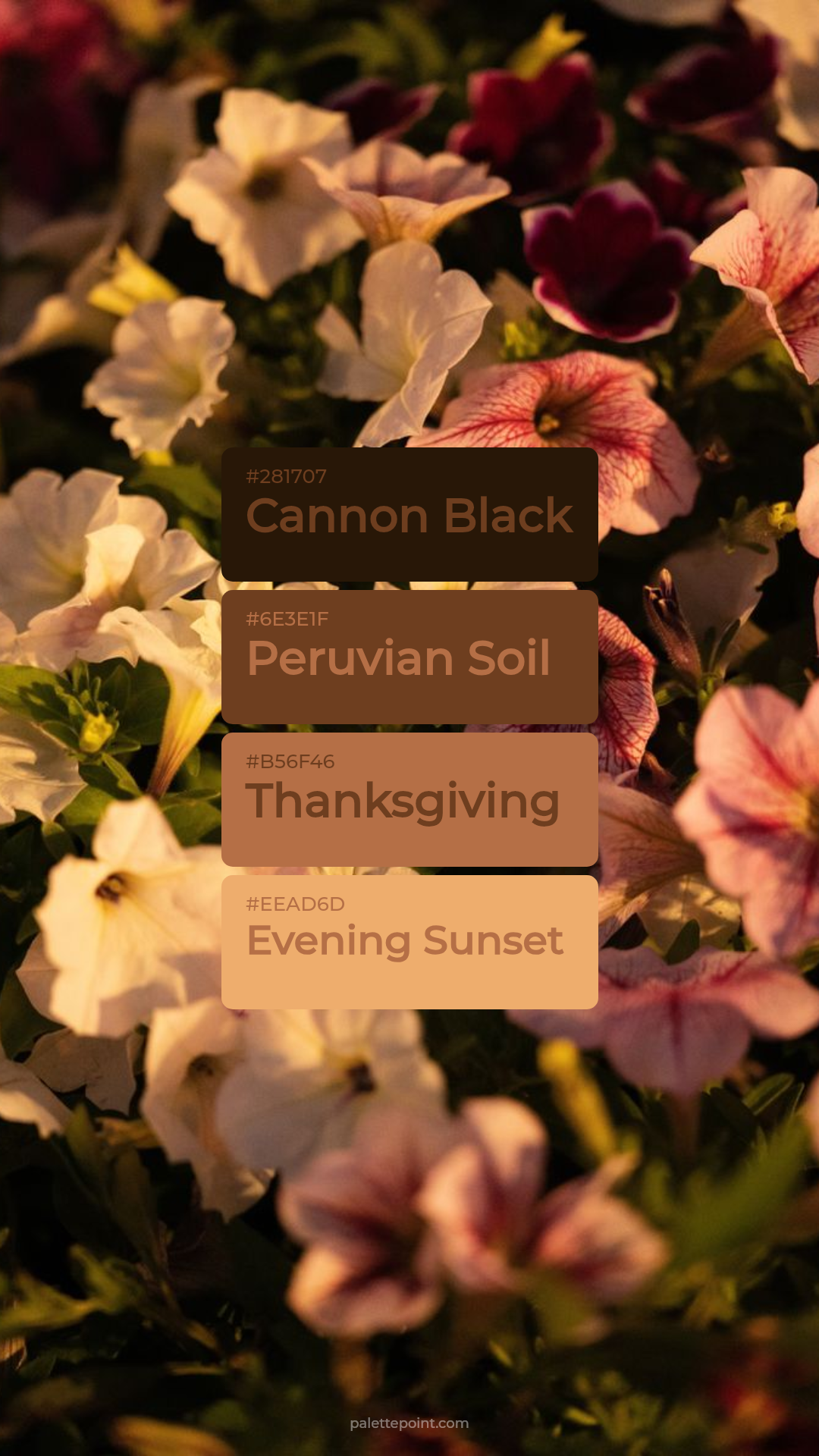 Rich Mood palette card
