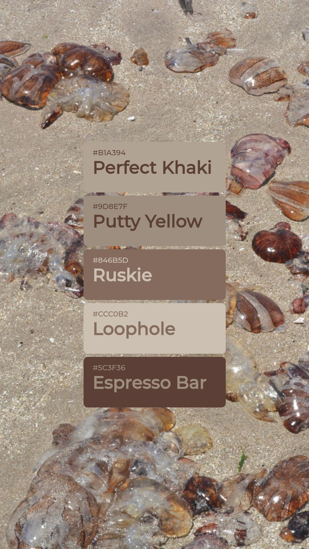Tranquil Harmony palette card