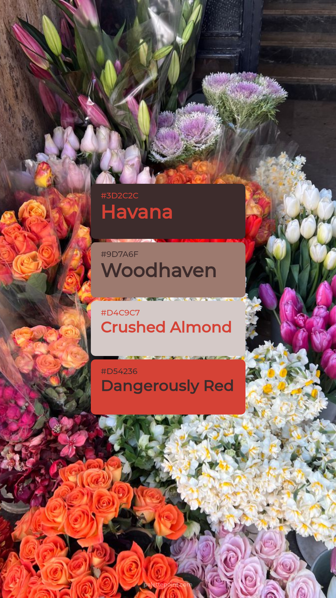 Elegant Harmony palette card