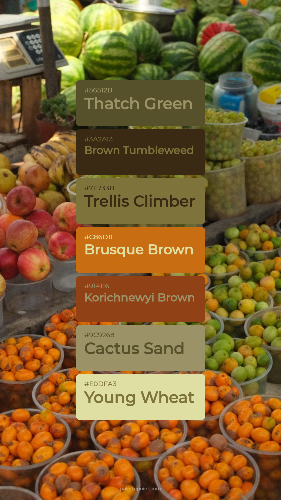 Thatch Green & Brown Tumbleweed palette card