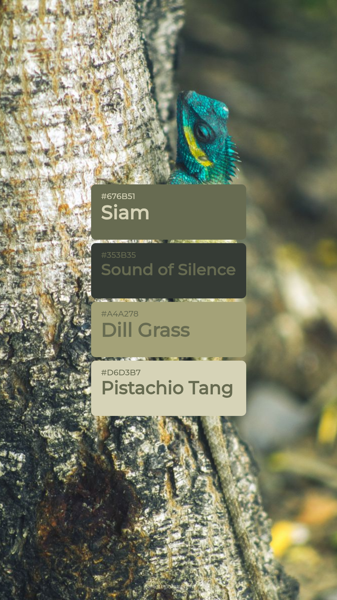 Siam Tones palette card