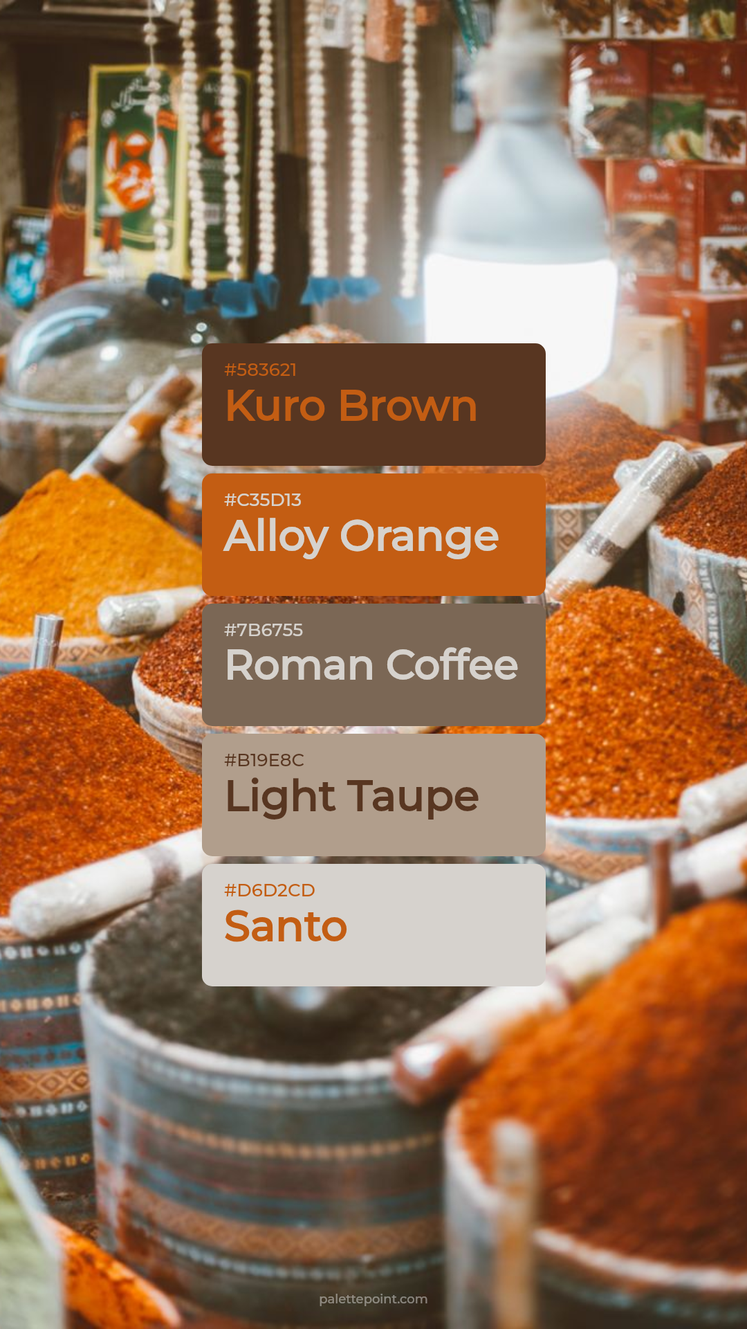 Earthy Kuro Brown Tones palette card