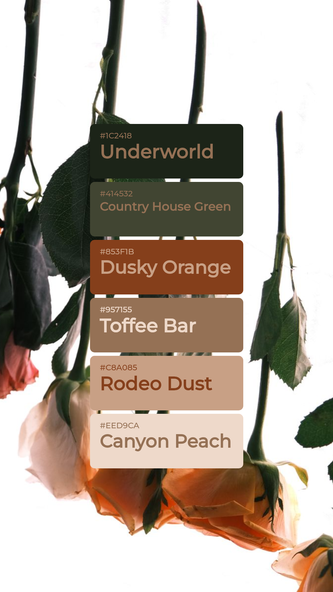 Underworld & Country House Green palette card