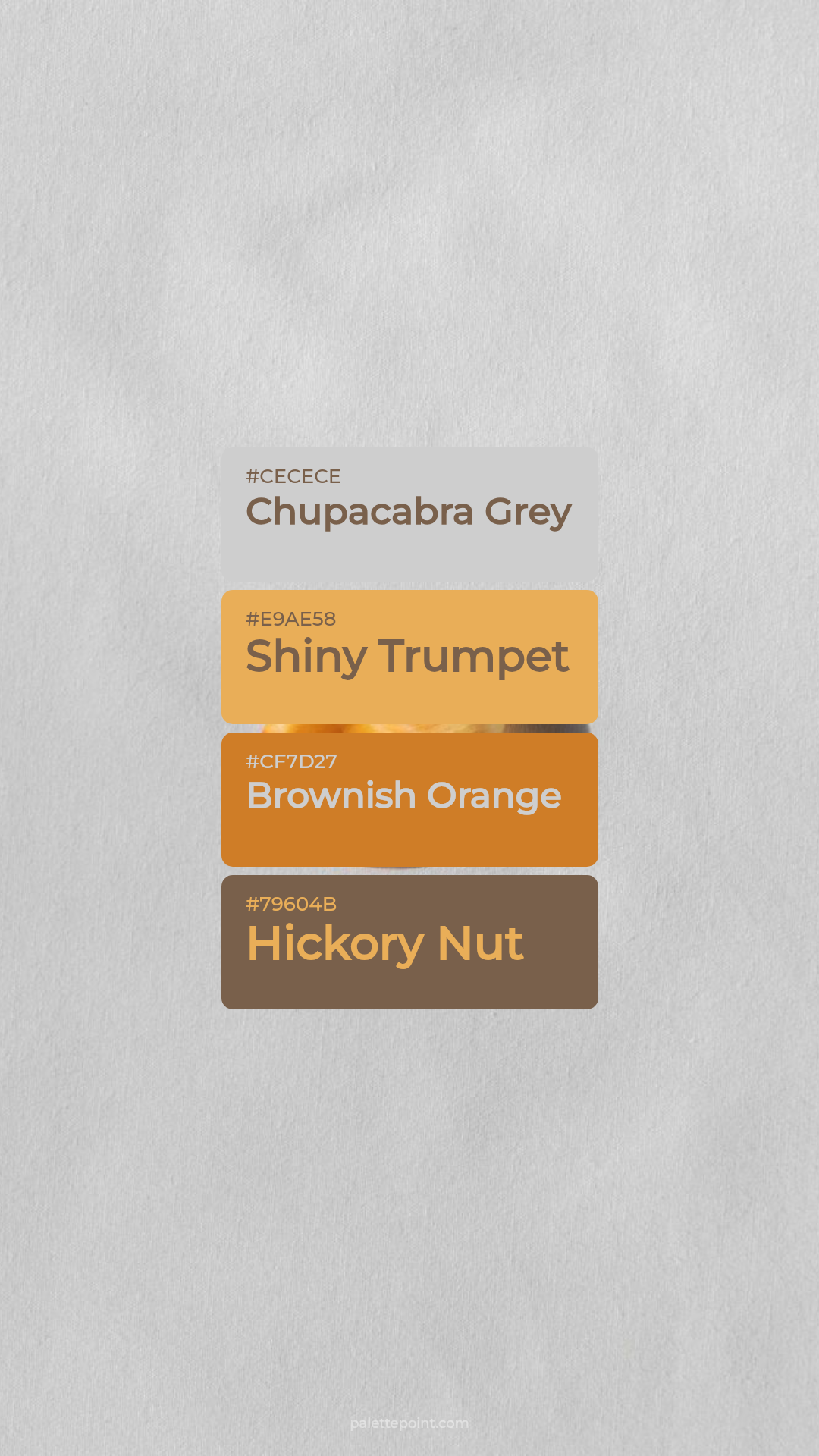 Vivid Hues palette card