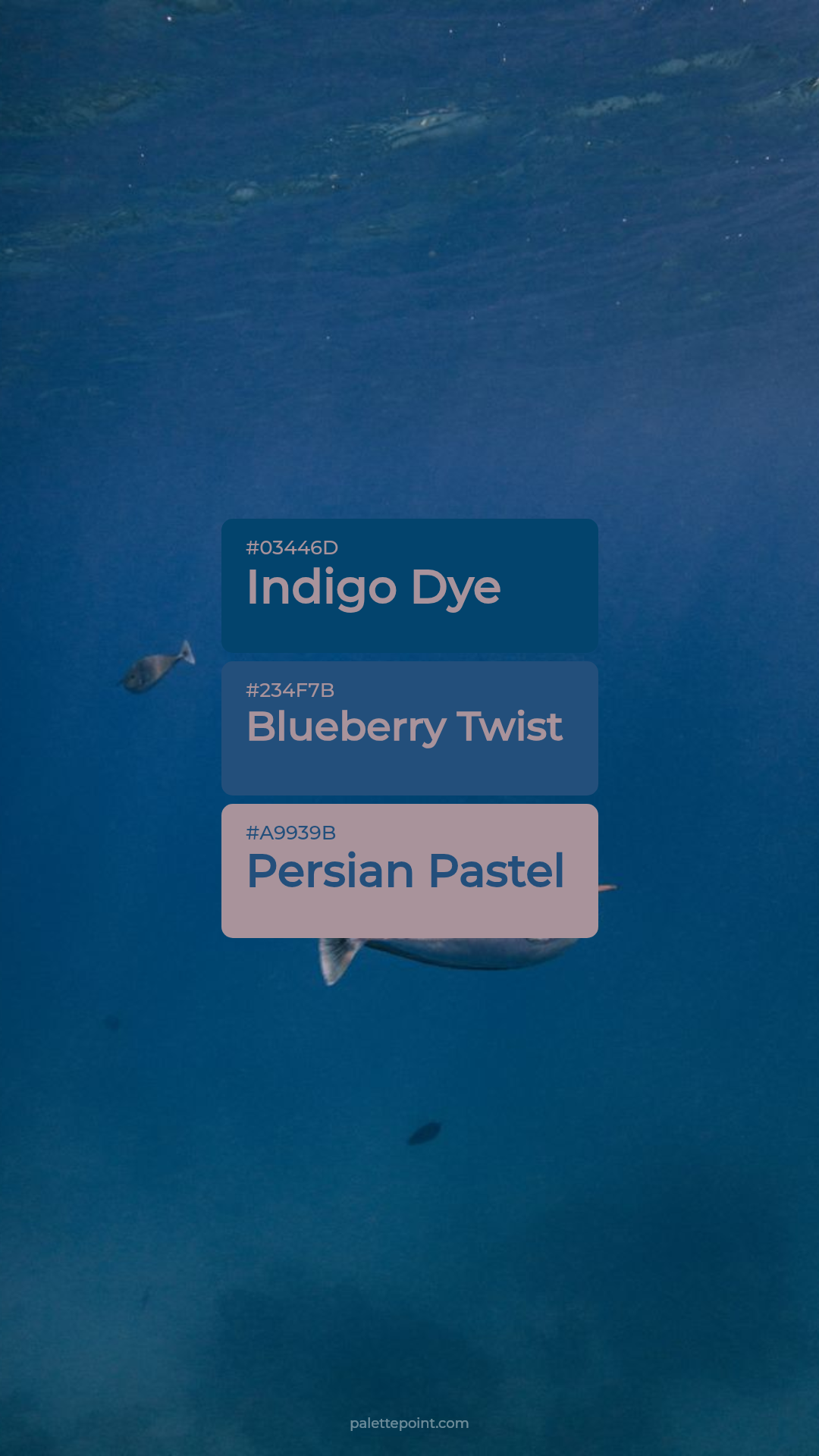 Indigo Dye Composition palette card