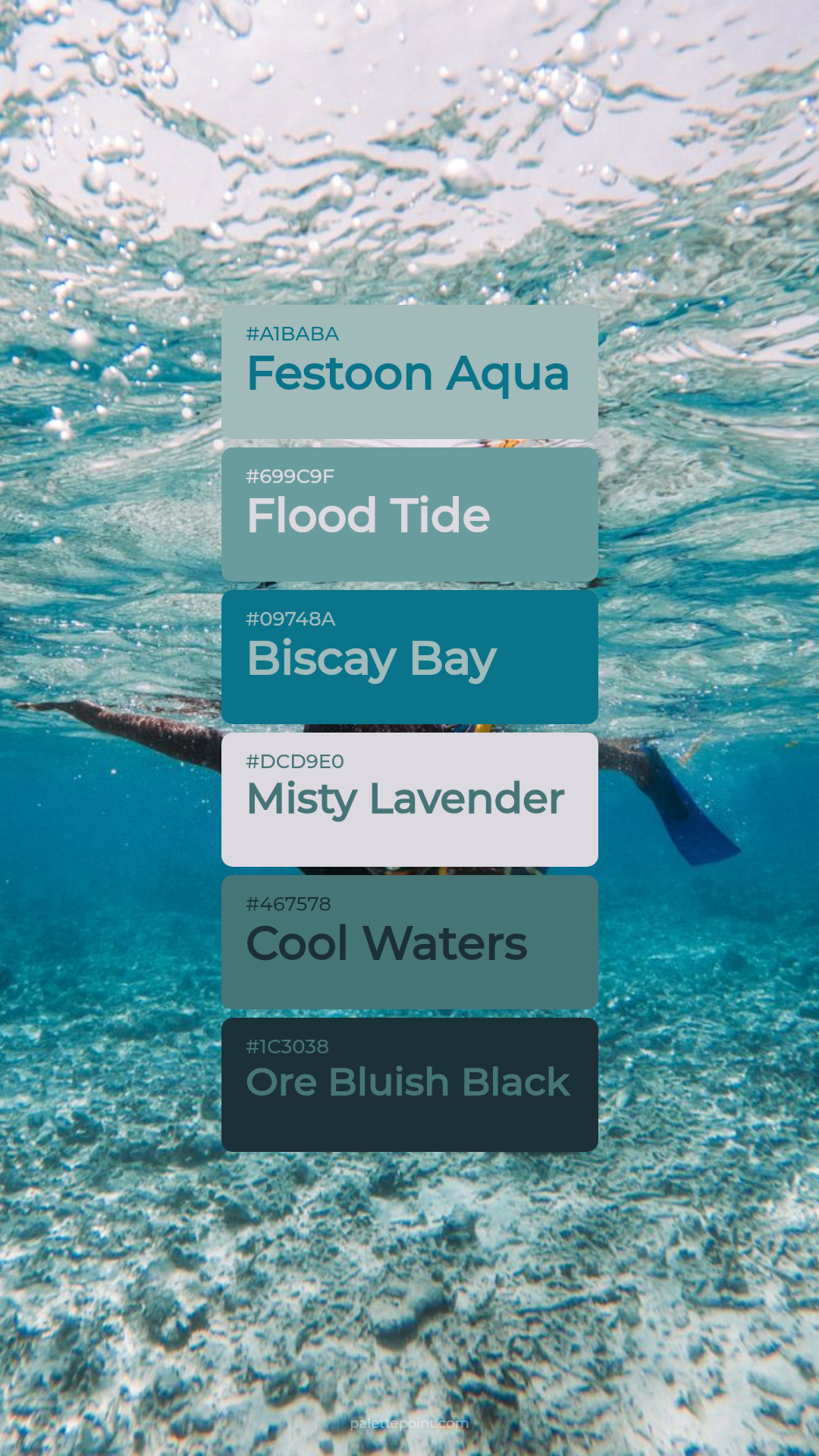 Festoon Aqua Composition palette card