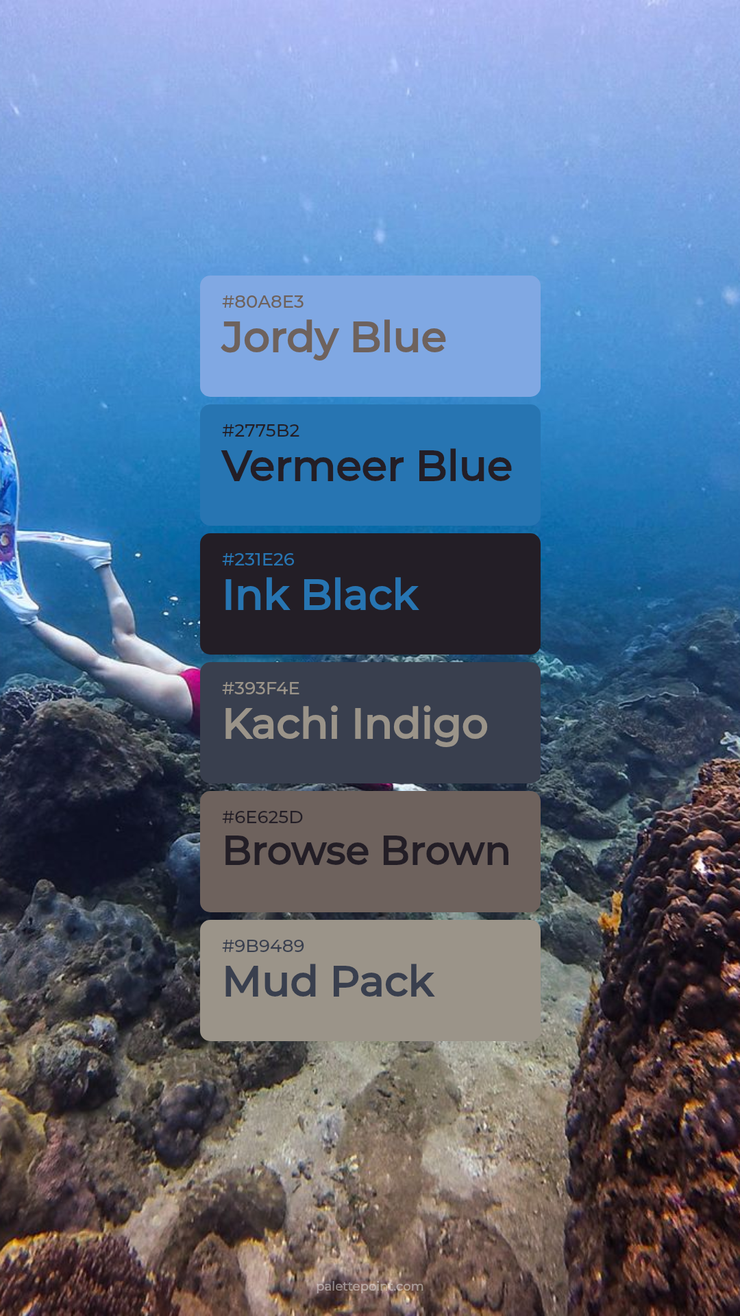 Jordy Blue Medley palette card