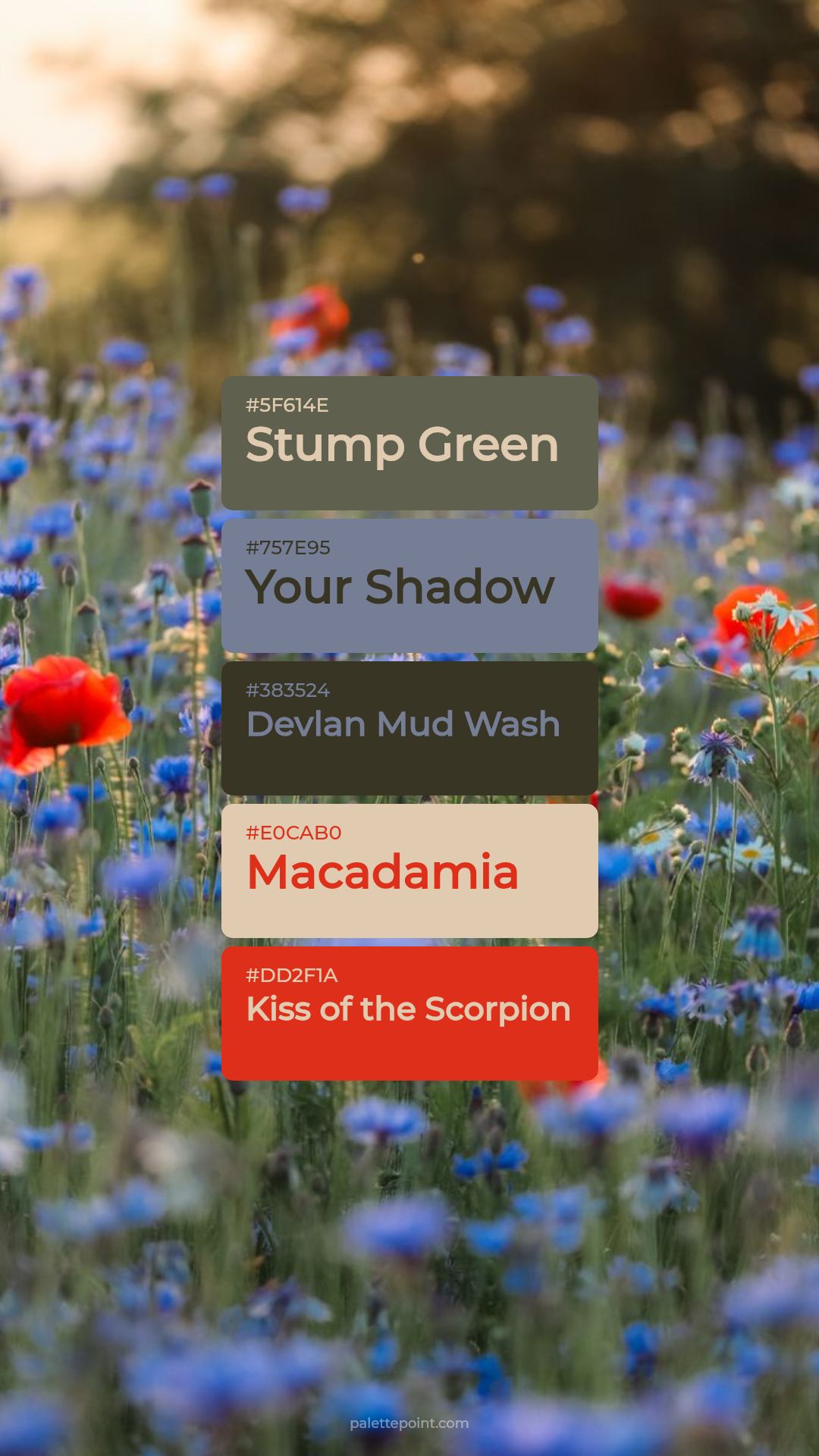 Warm Composition palette card