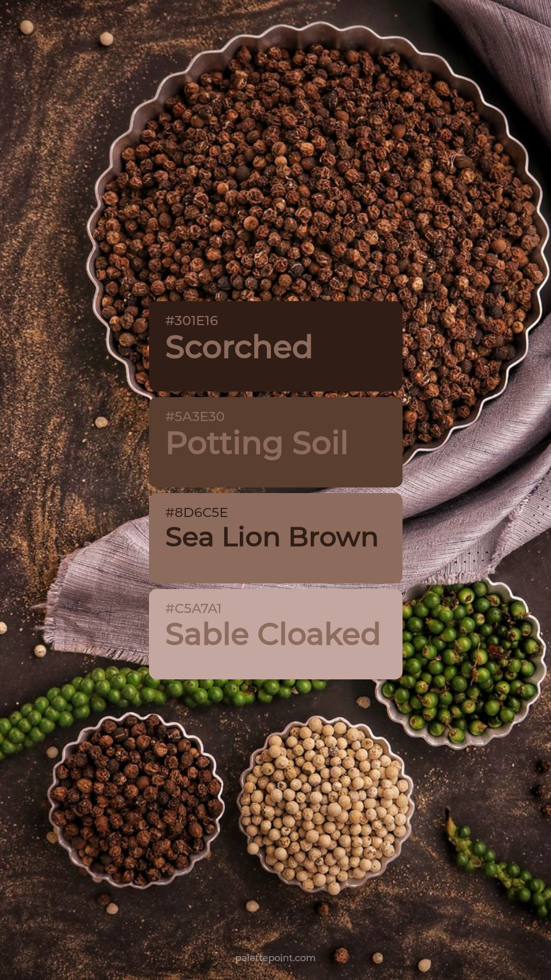 Delicate Scorched Canvas palette card