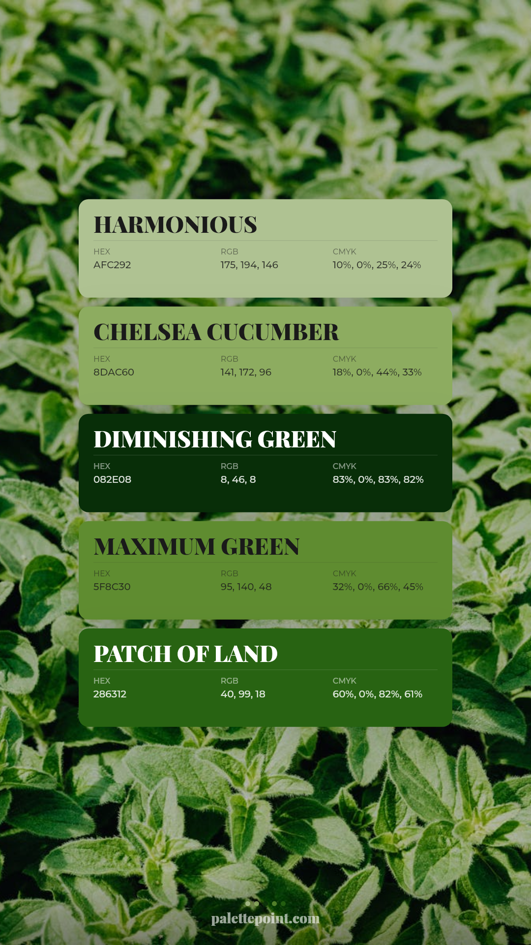 Harmonious & Chelsea Cucumber card