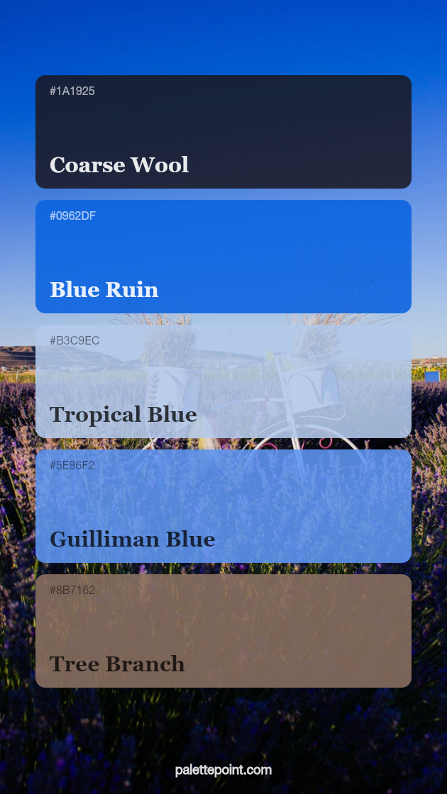 Coarse Wool & Blue Ruin palette card