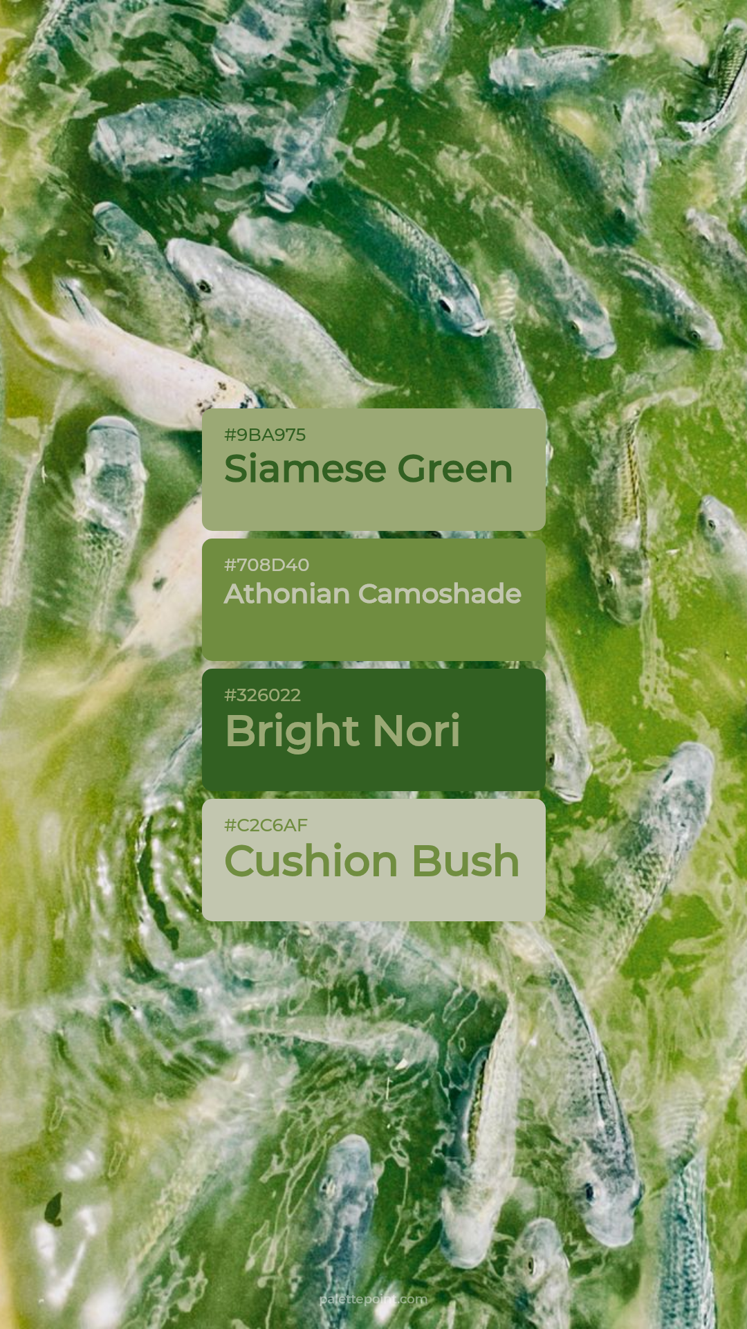 Siamese Green & Athonian Camoshade palette card