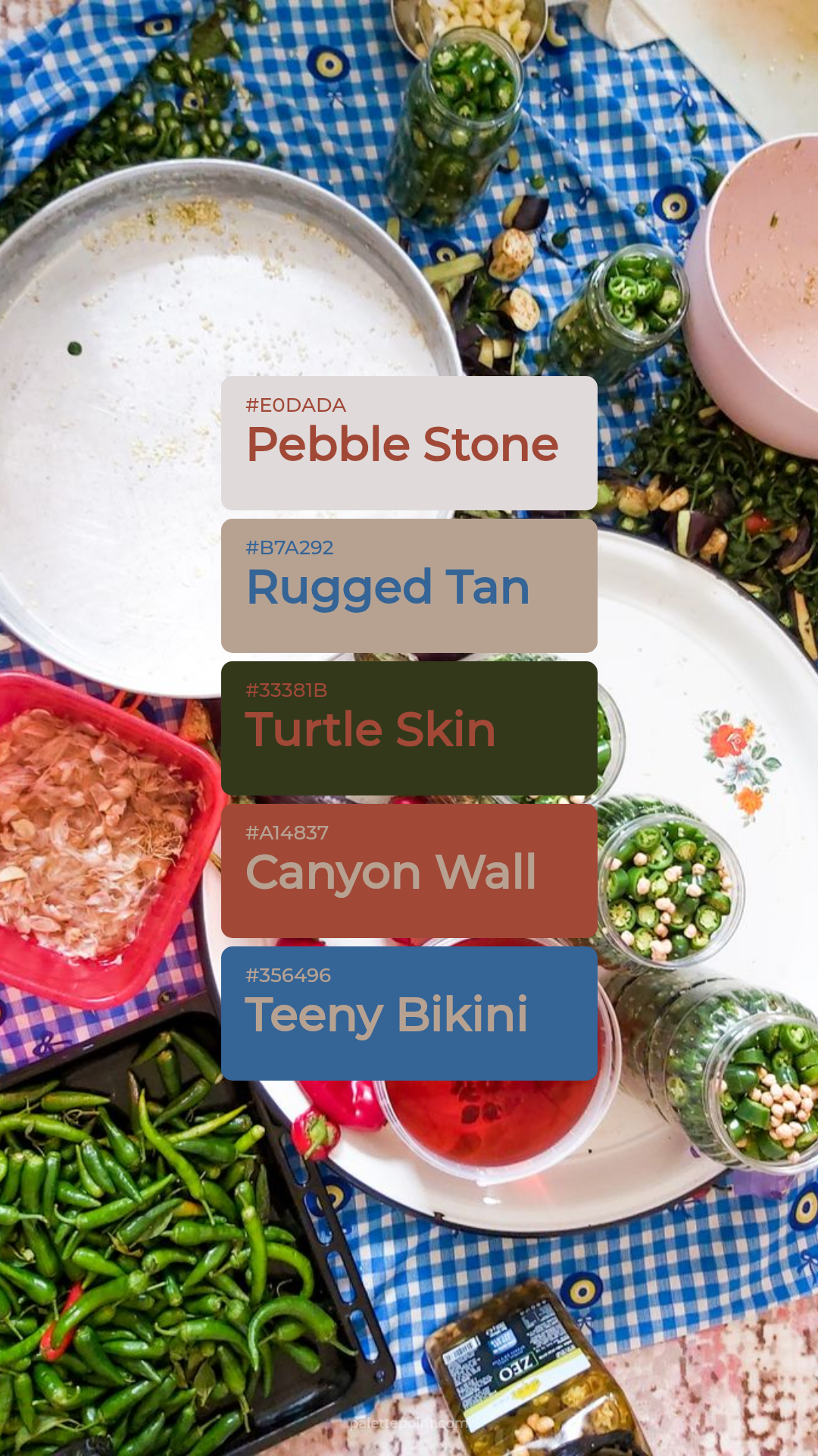 Pebble Stone & Rugged Tan palette card
