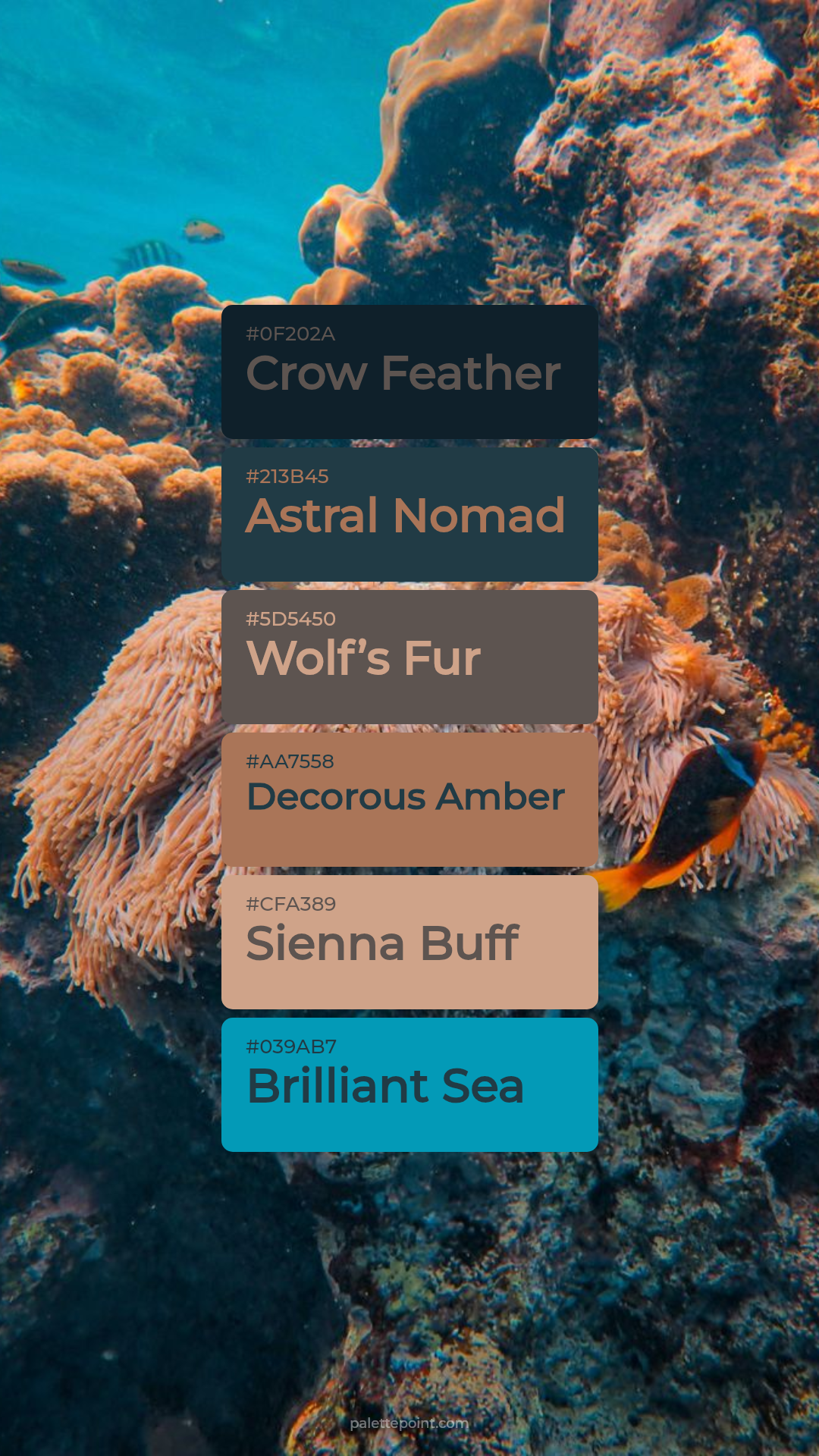 Crow Feather & Astral Nomad palette card