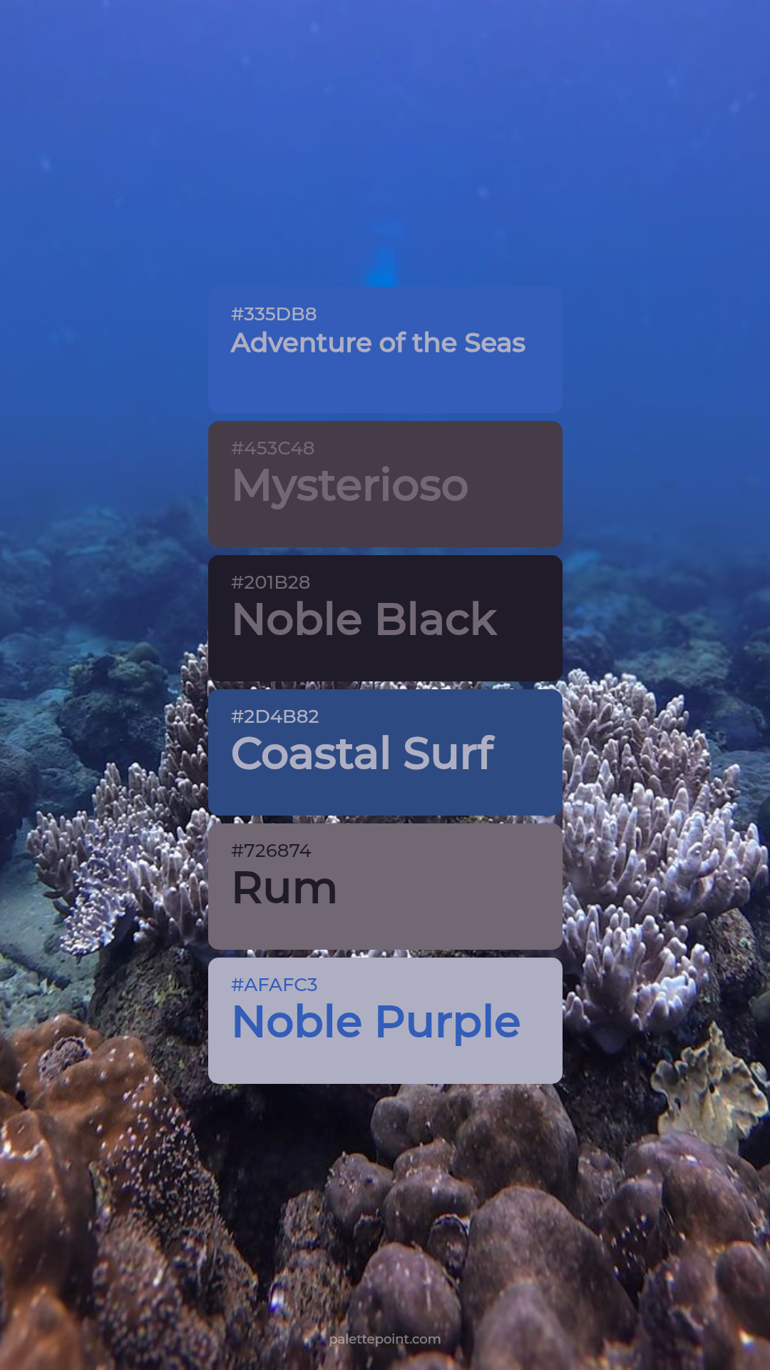 Adventure of the Seas & Mysterioso palette card