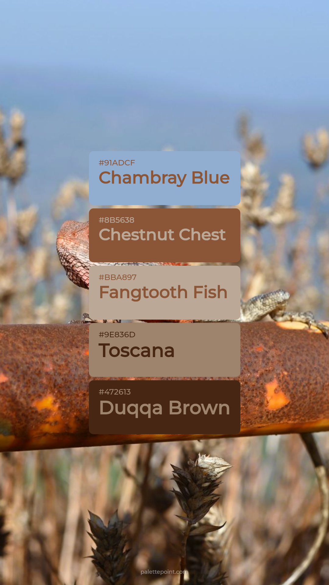Chambray Blue Palette palette card