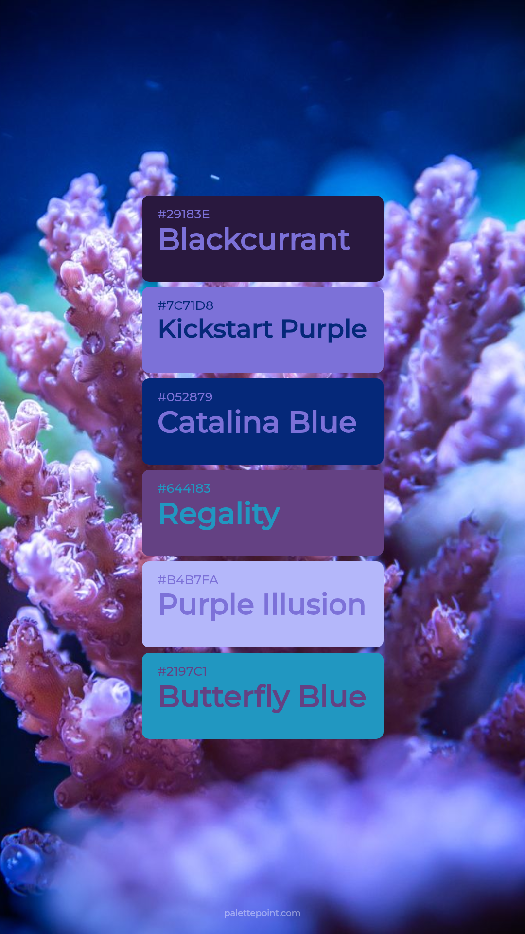 Blackcurrant & Kickstart Purple palette card