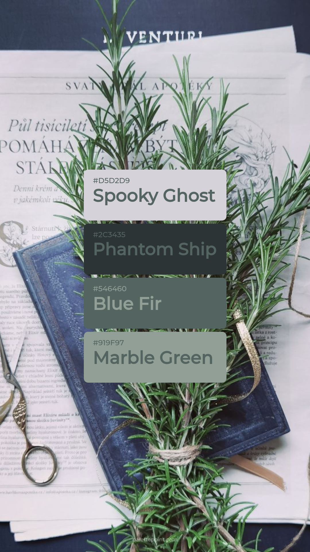 Spooky Ghost & Phantom Ship palette card