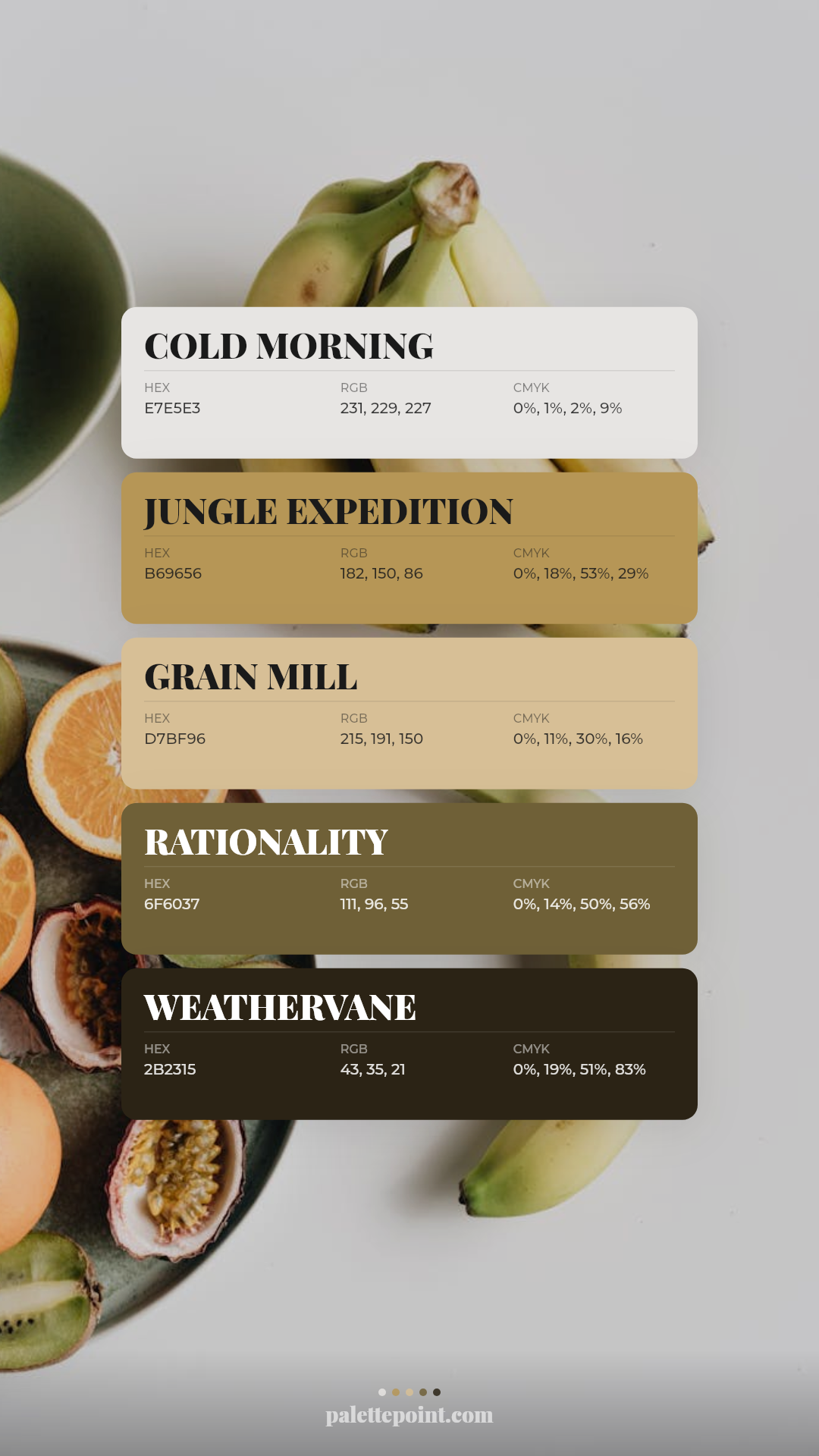 Cold Morning & Jungle Expedition card