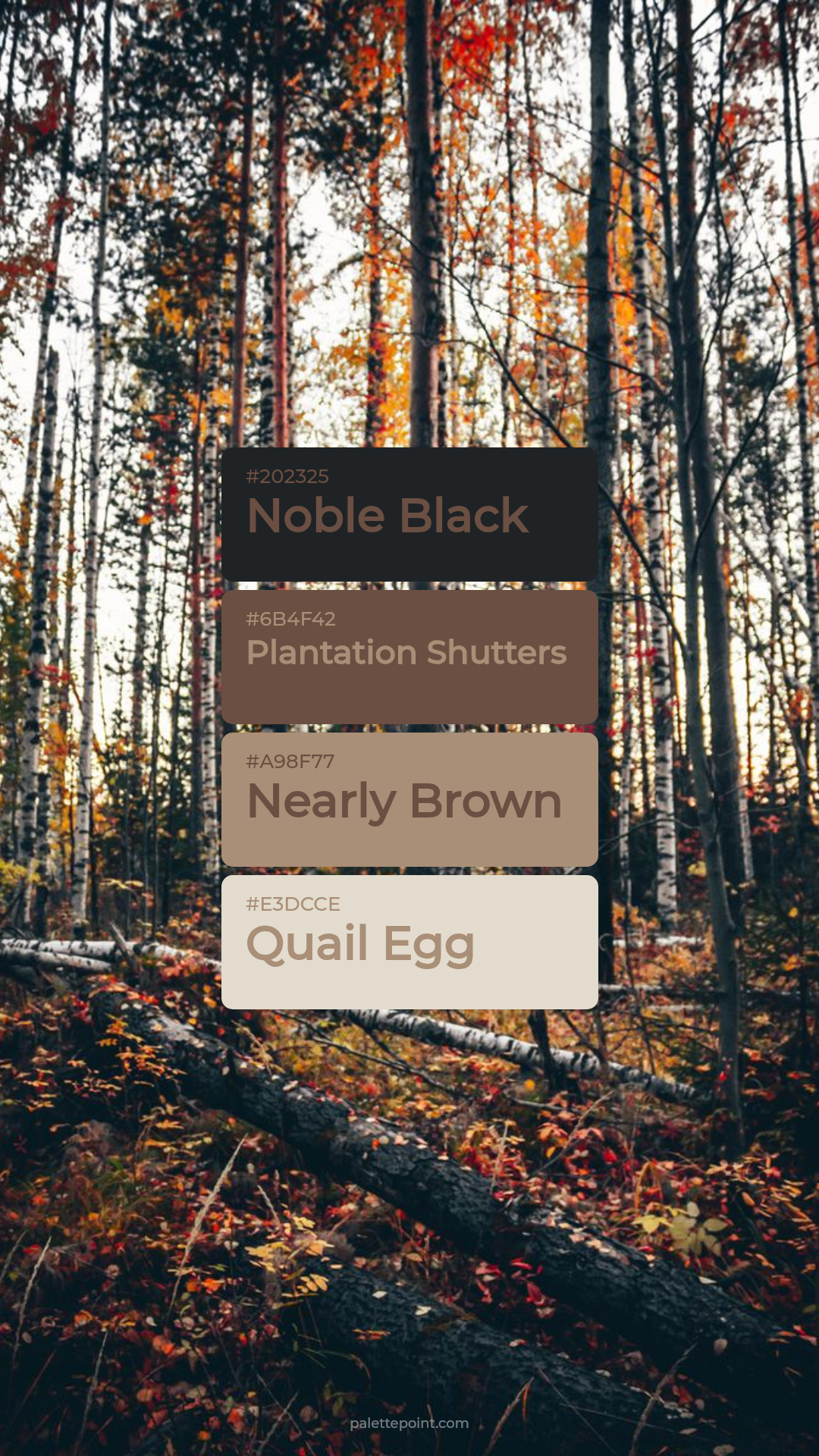 Noble Black Canvas palette card
