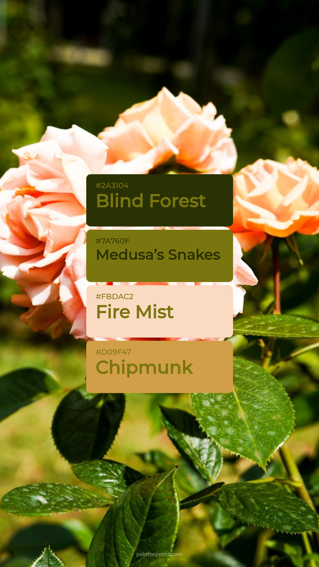 Blind Forest Medley palette card