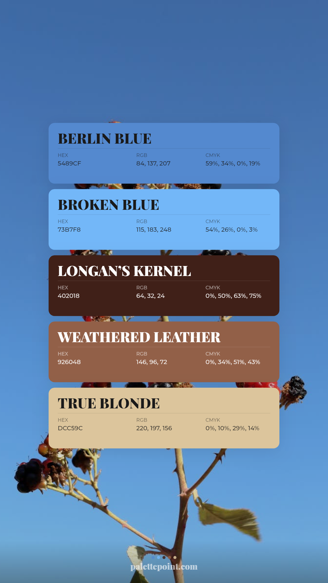 Bold Composition palette card