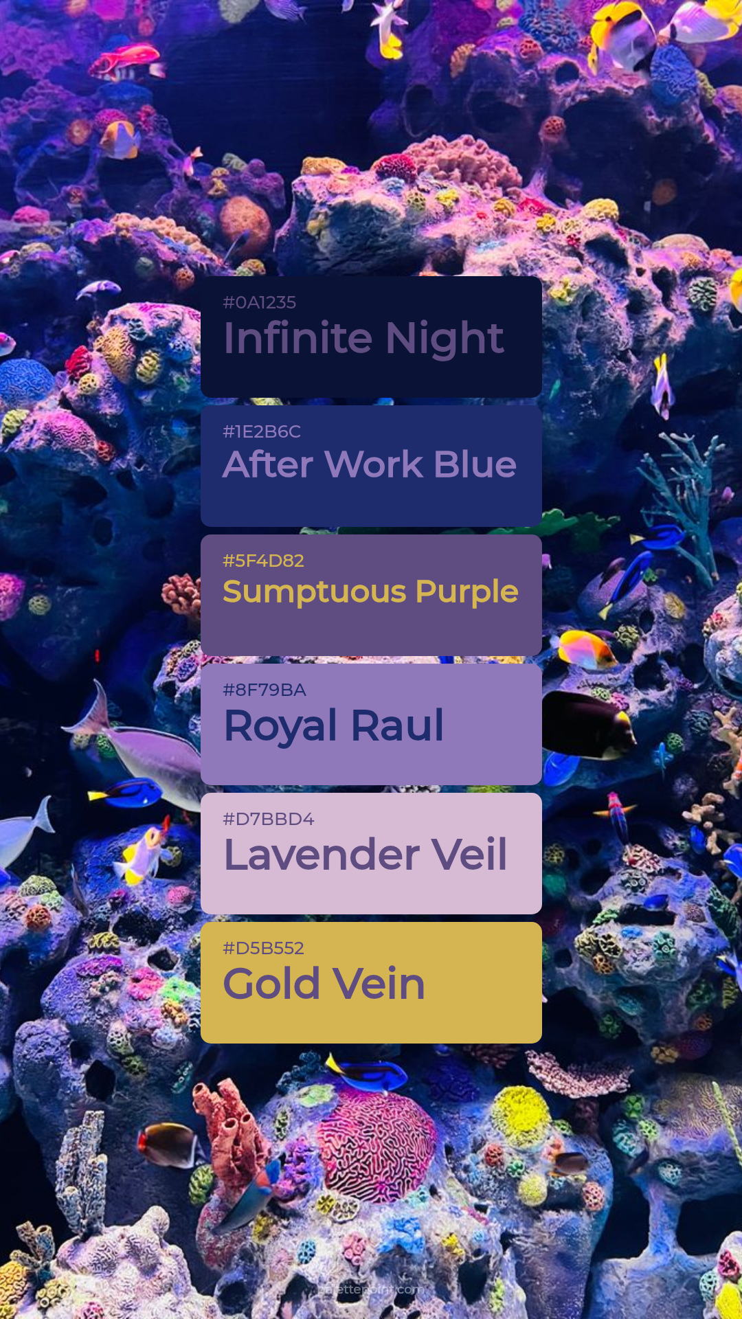 Infinite Night Medley palette card