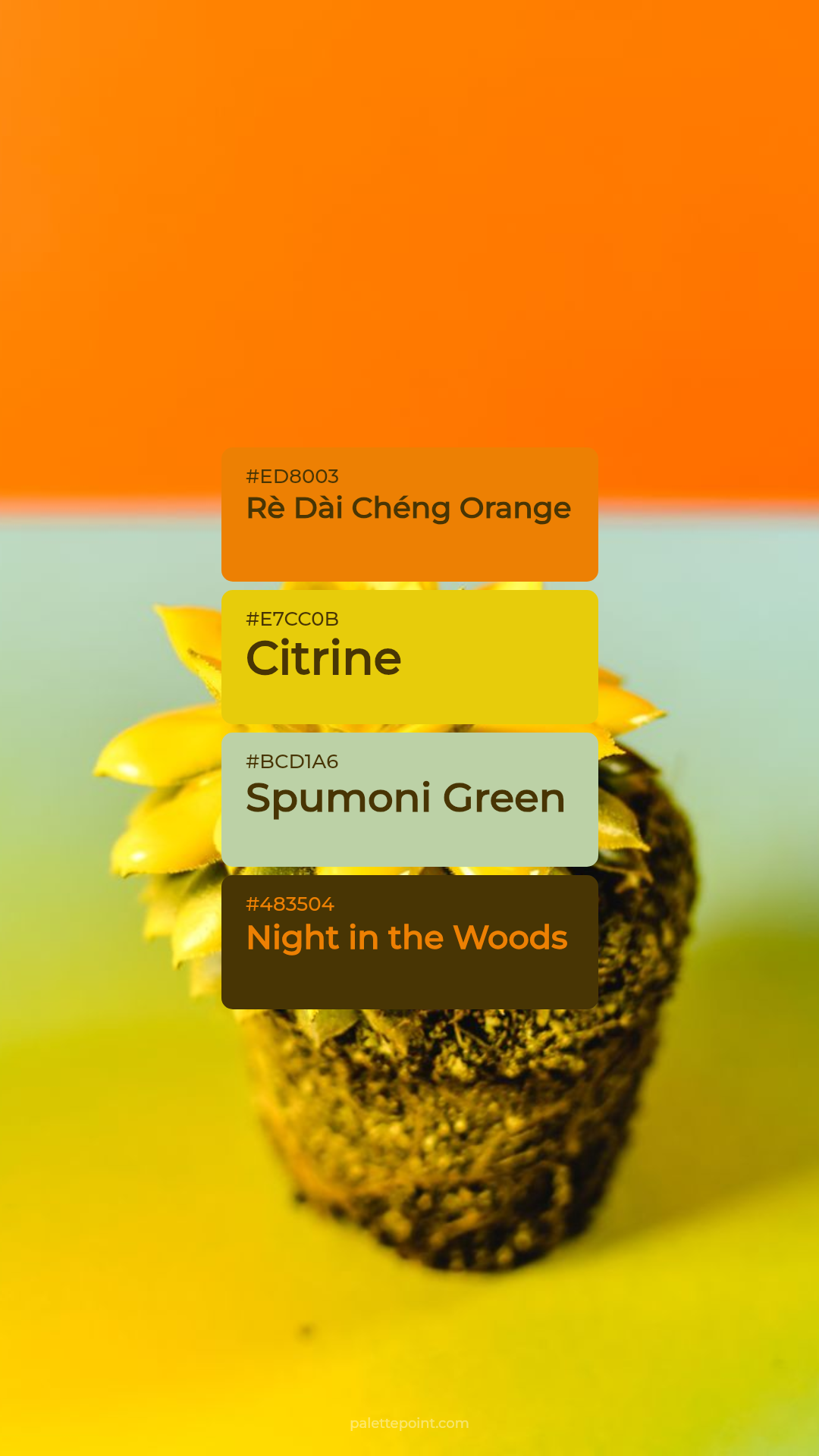 Rè Dài Chéng Orange Tones palette card