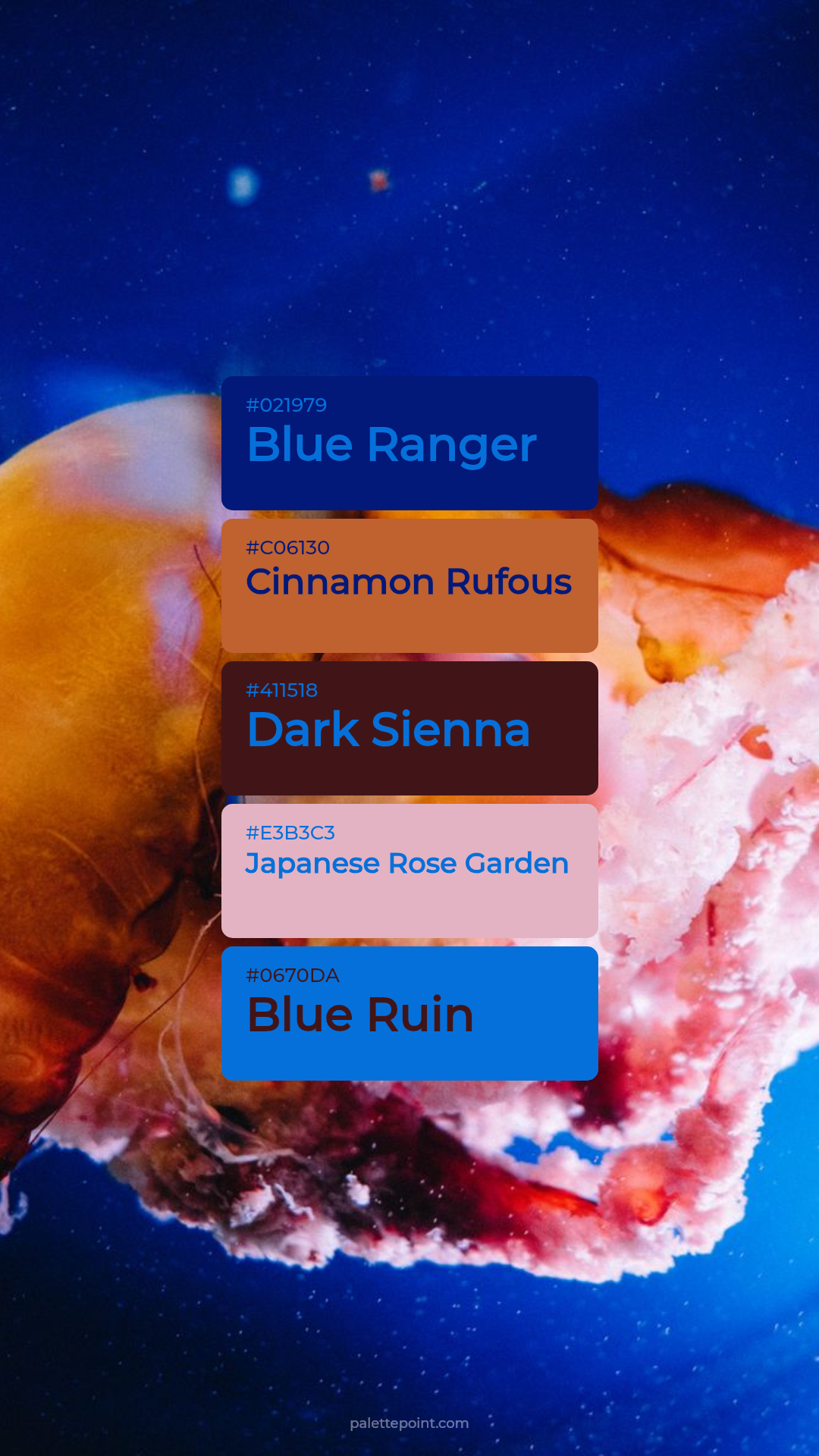 Blue Ranger & Cinnamon Rufous palette card