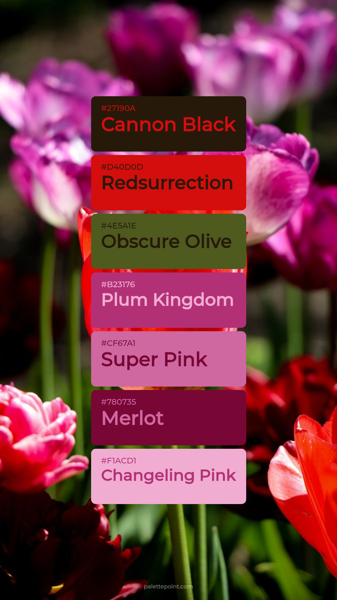 Cannon Black & Redsurrection palette card