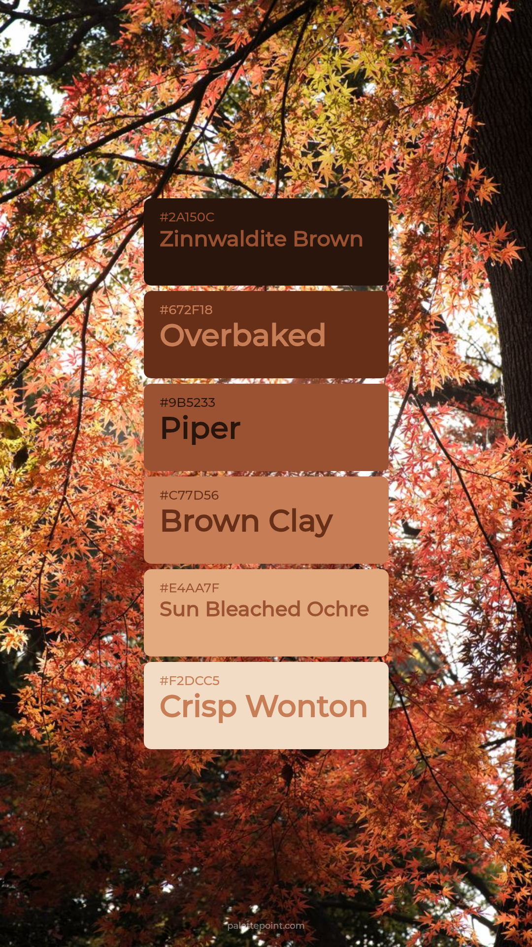 Zinnwaldite Brown Palette palette card