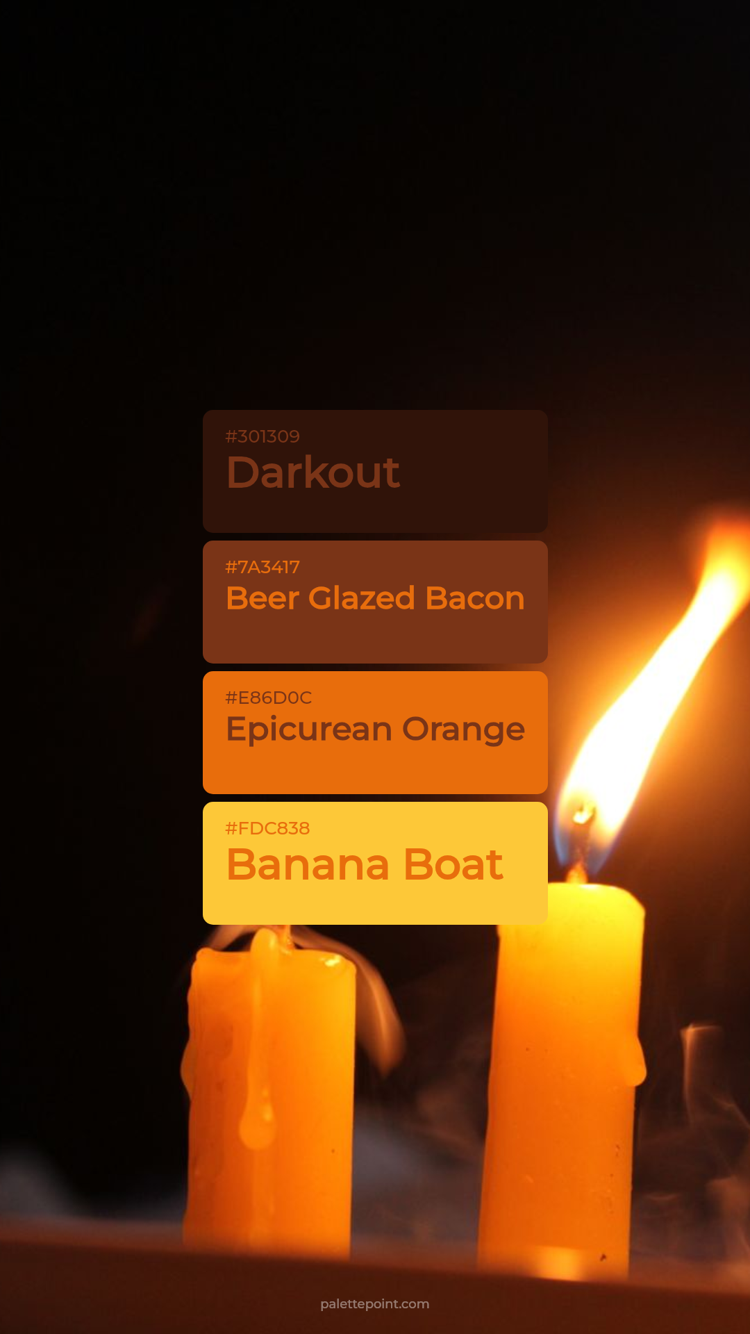Color Coding Storage Systems Lush Darkout Tones - Color Palette | palettepoint.com | palettepoint.com