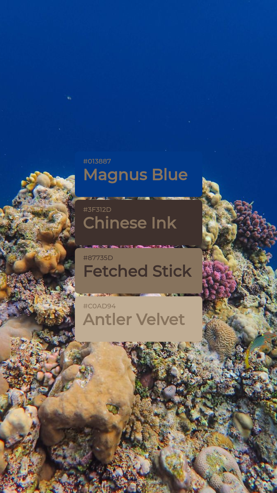 Magnus Blue & Chinese Ink palette card