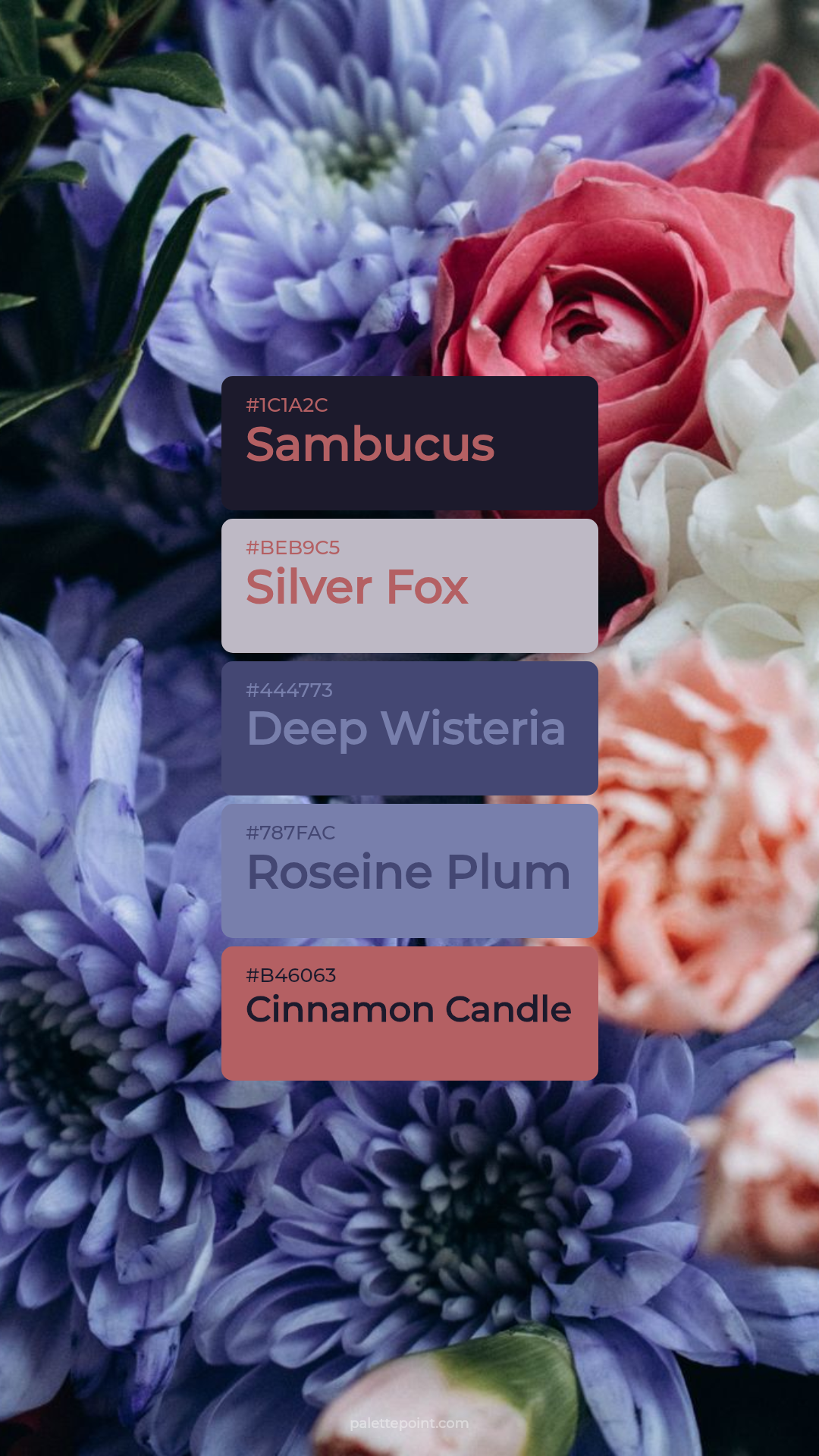 Sambucus & Silver Fox palette card