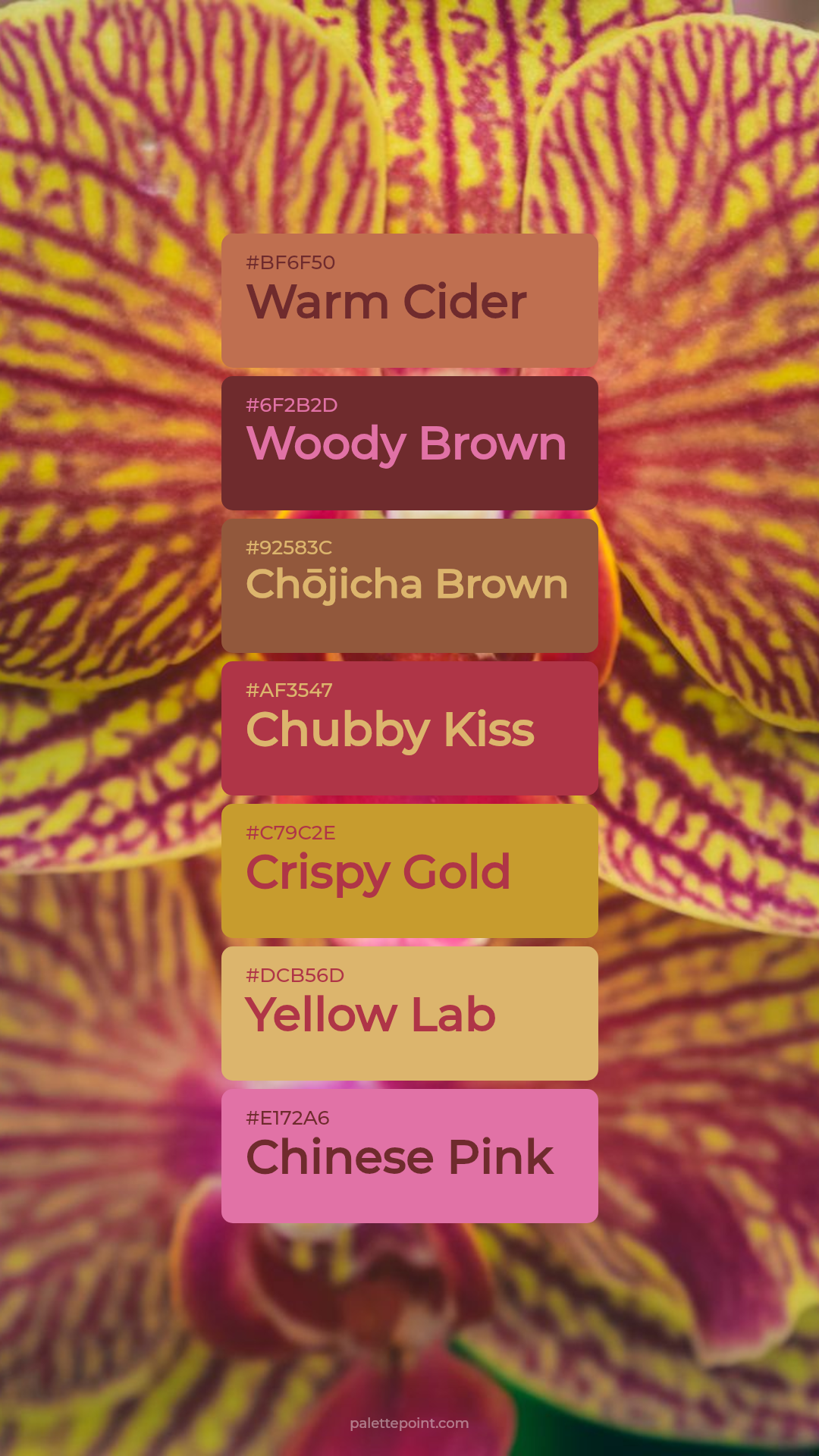 Warm Cider & Woody Brown palette card