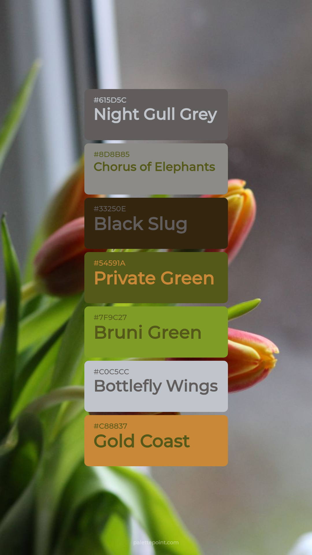Night Gull Grey & Chorus of Elephants palette card