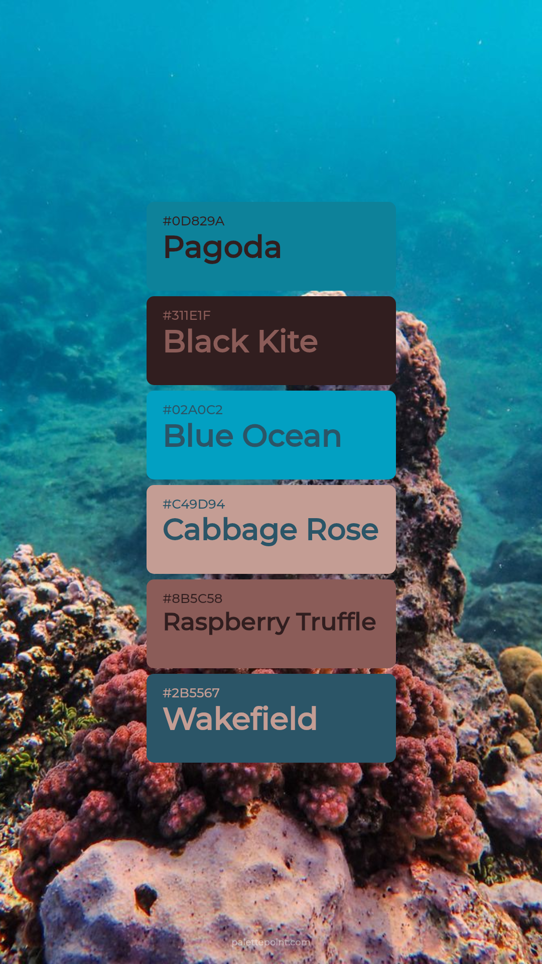 Pagoda Palette palette card