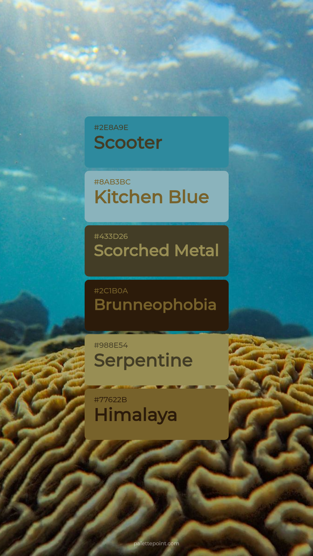Scooter & Kitchen Blue palette card