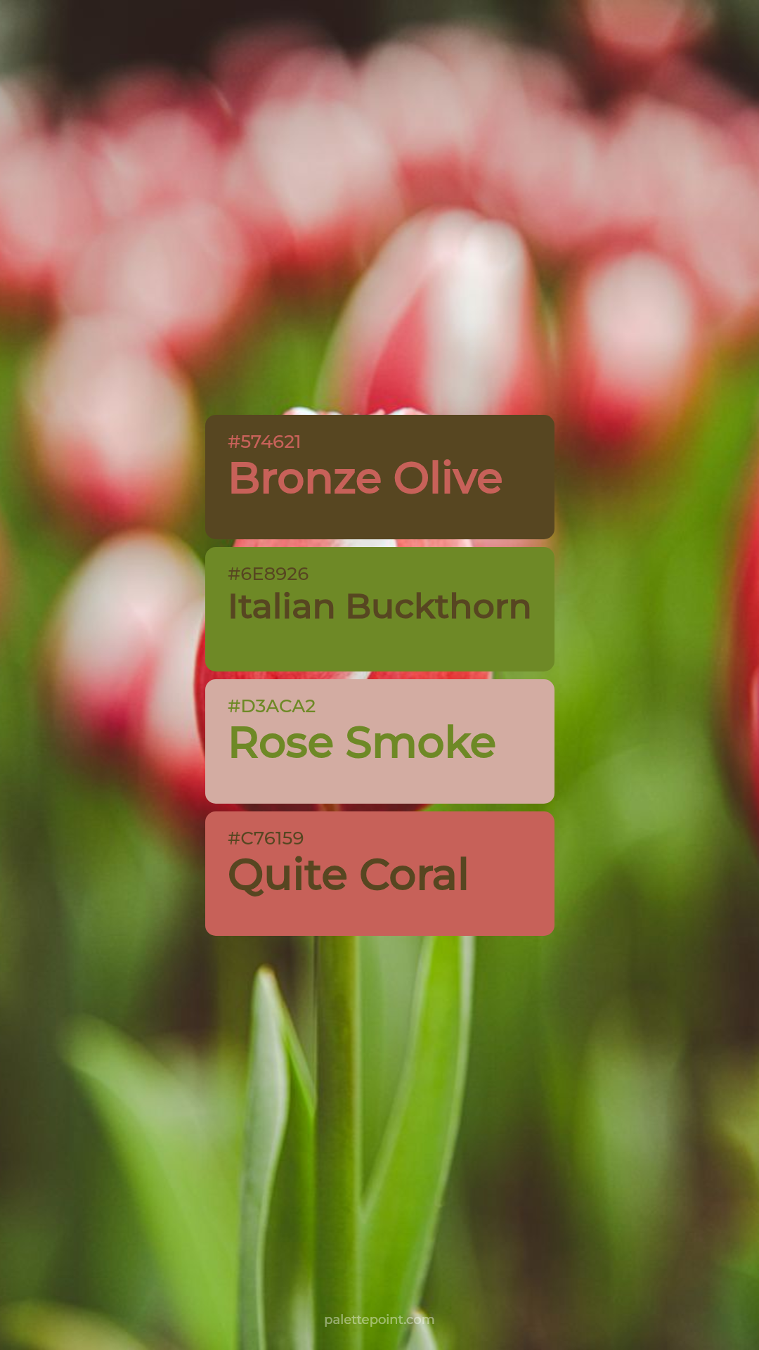 Rich Bronze Olive Harmony palette card