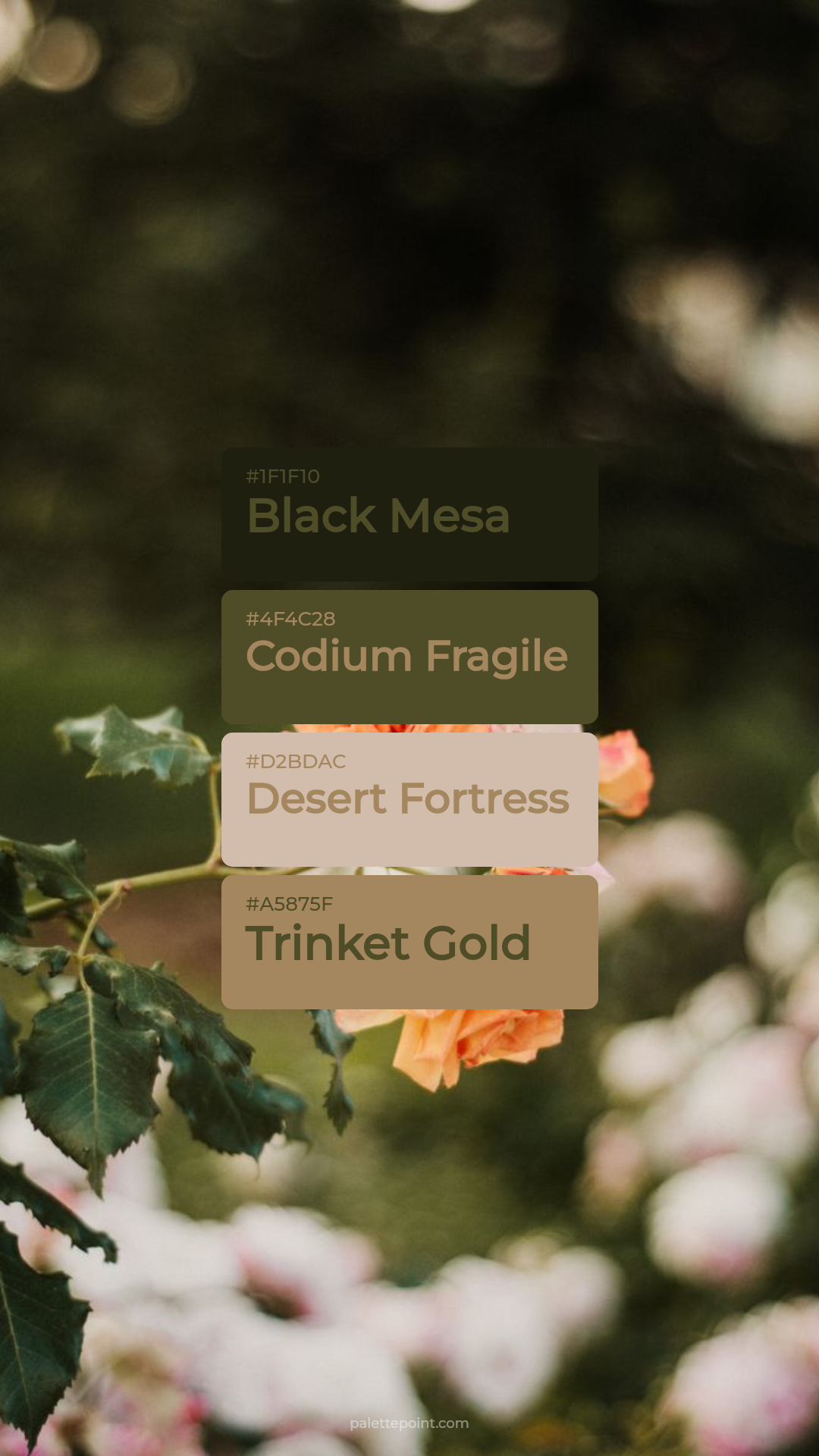 Black Mesa & Codium Fragile palette card