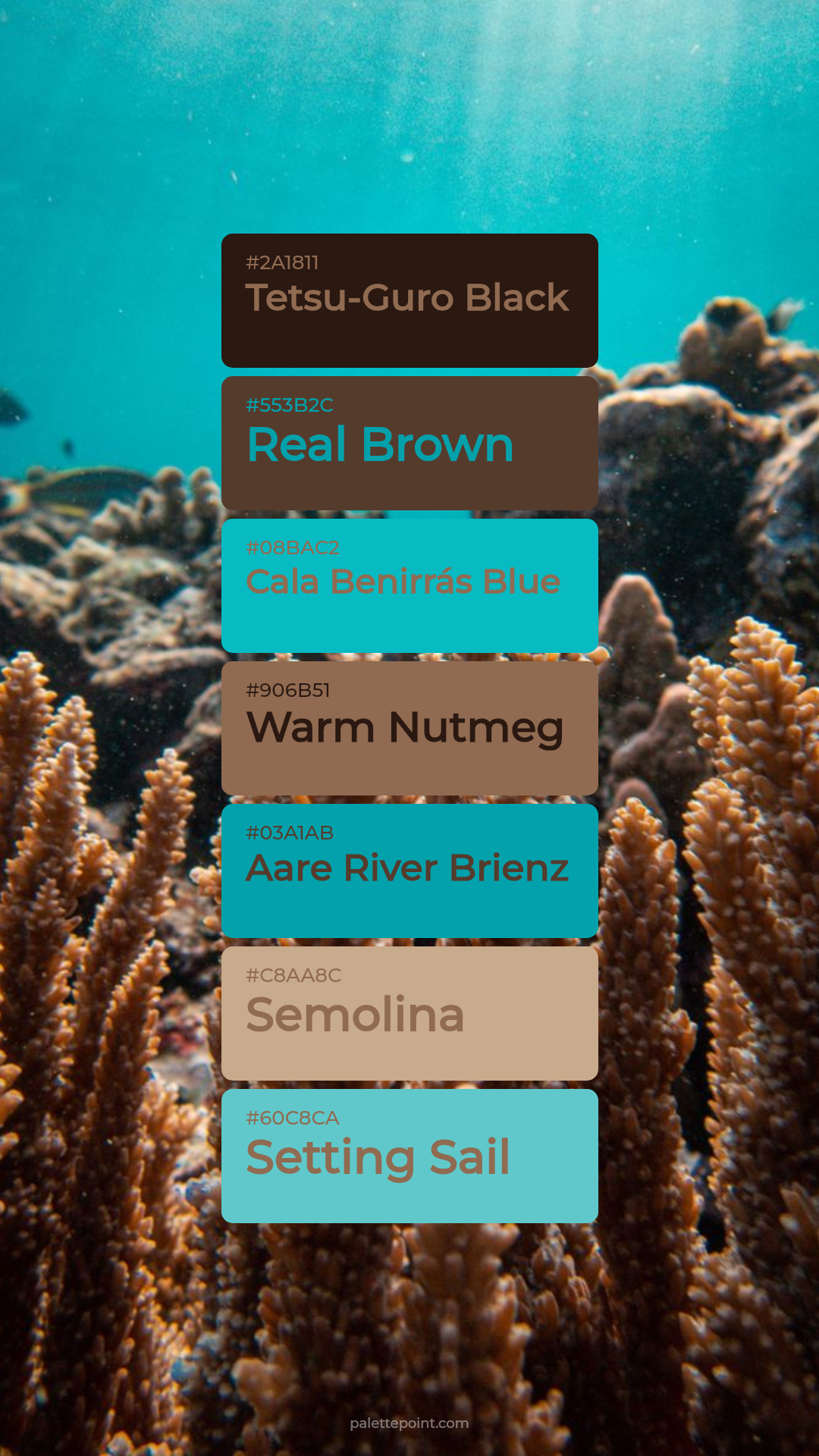 Tetsu-Guro Black & Real Brown palette card