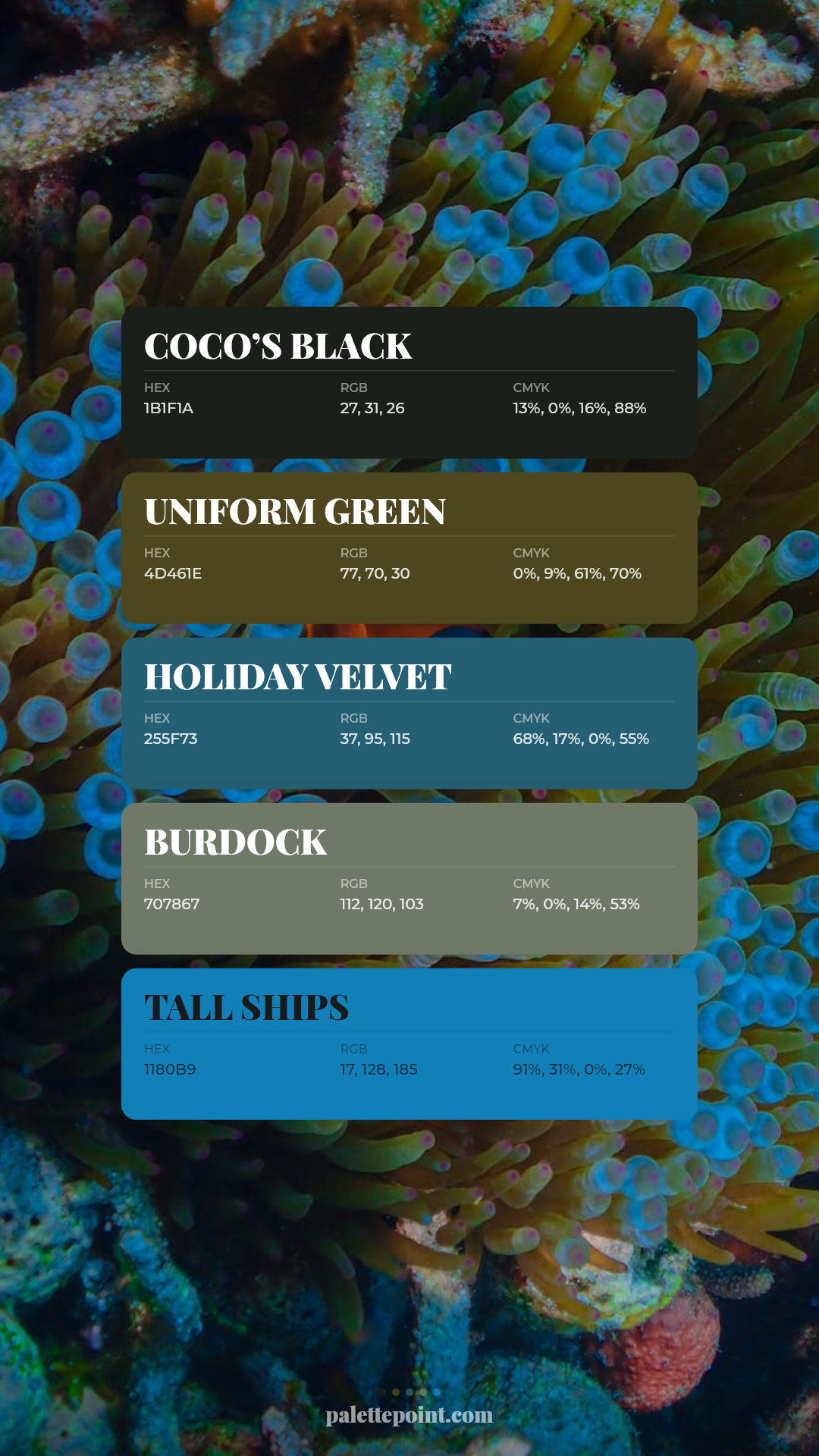 Rich Coco’s Black Composition palette card