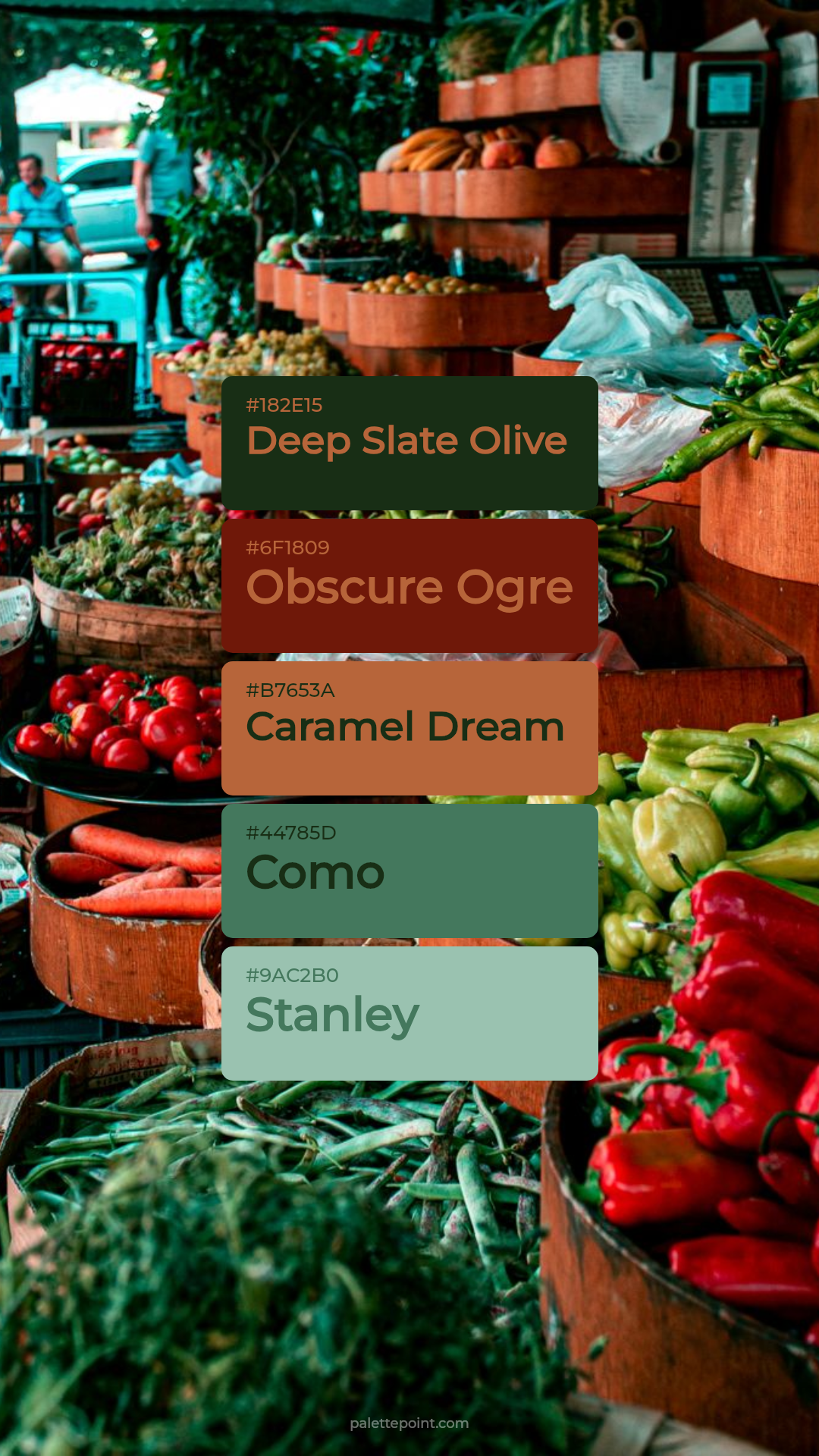 Deep Slate Olive Essence palette card