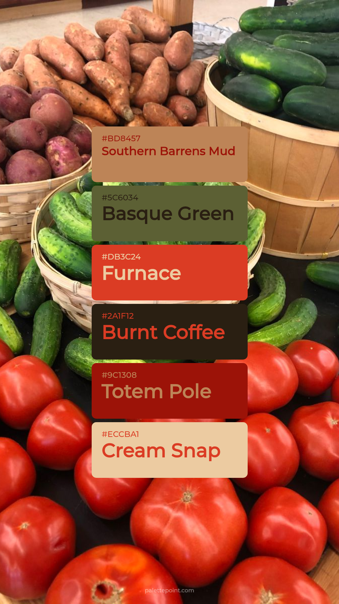 Lush Composition palette card