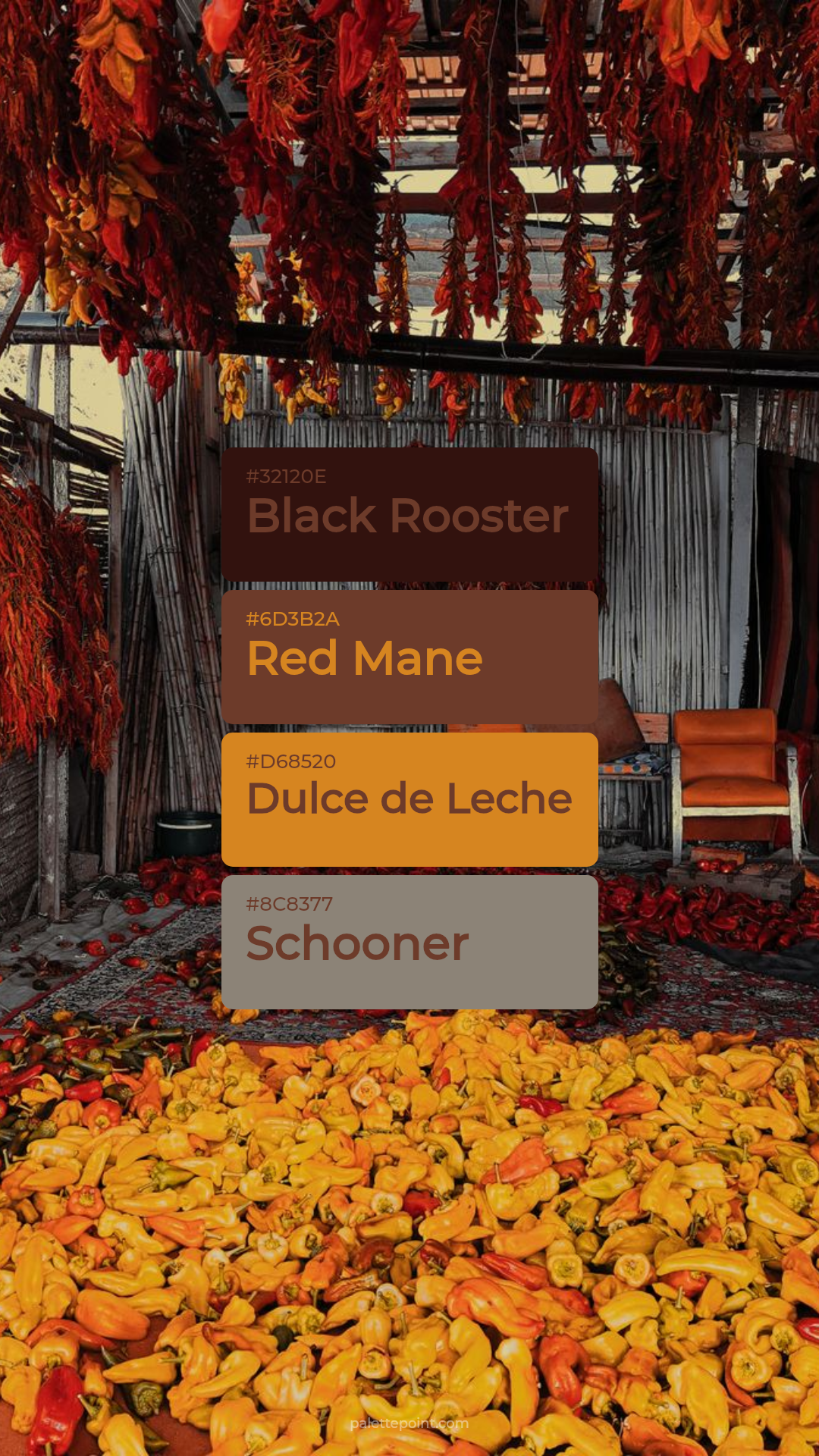 Soft Spectrum palette card