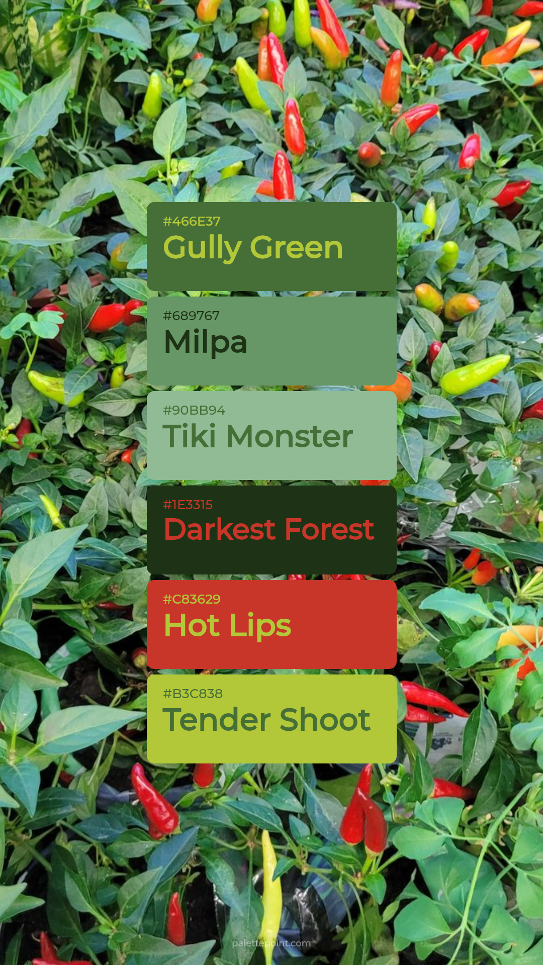 Earthy Gully Green Spectrum palette card
