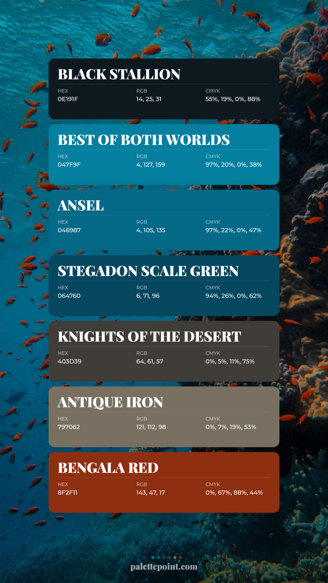 Black Stallion Palette palette card