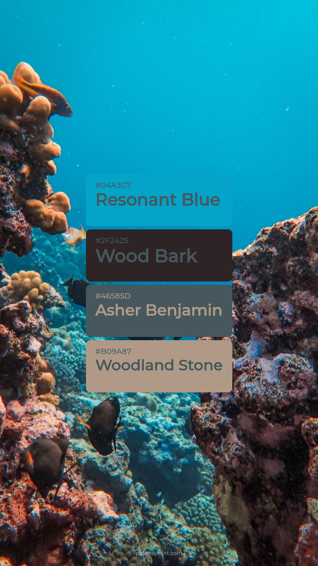 Resonant Blue & Wood Bark palette card