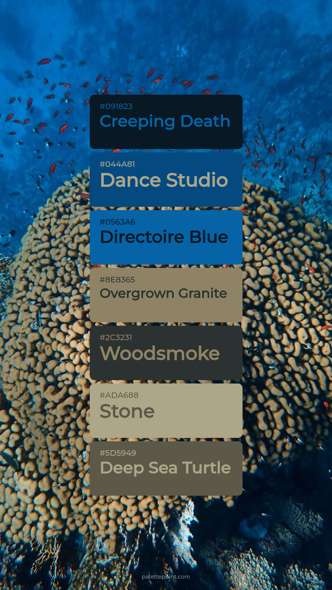 Delicate Hues palette card
