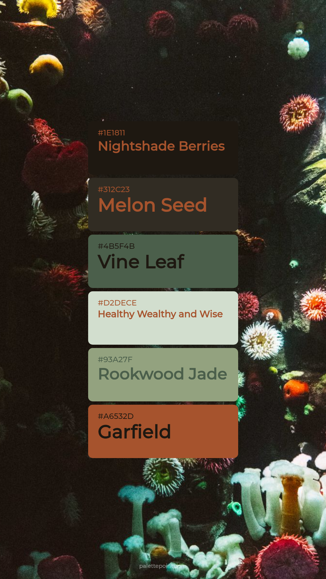 Rich Spectrum palette card